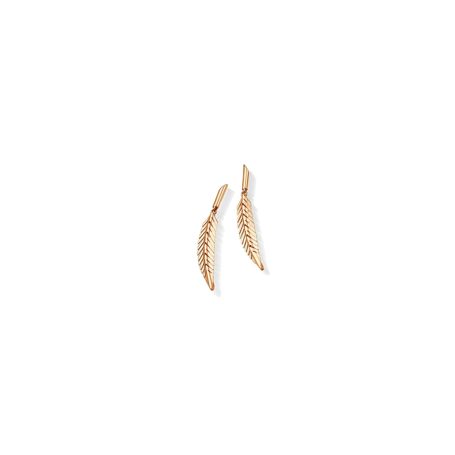 18K Rose Gold Small Feather Drop Earrings