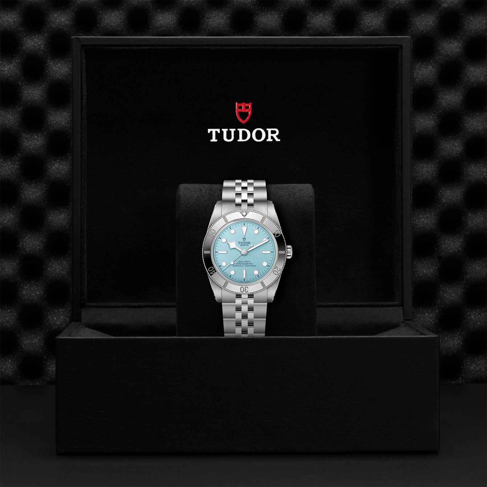 TUDOR BLACK BAY 54