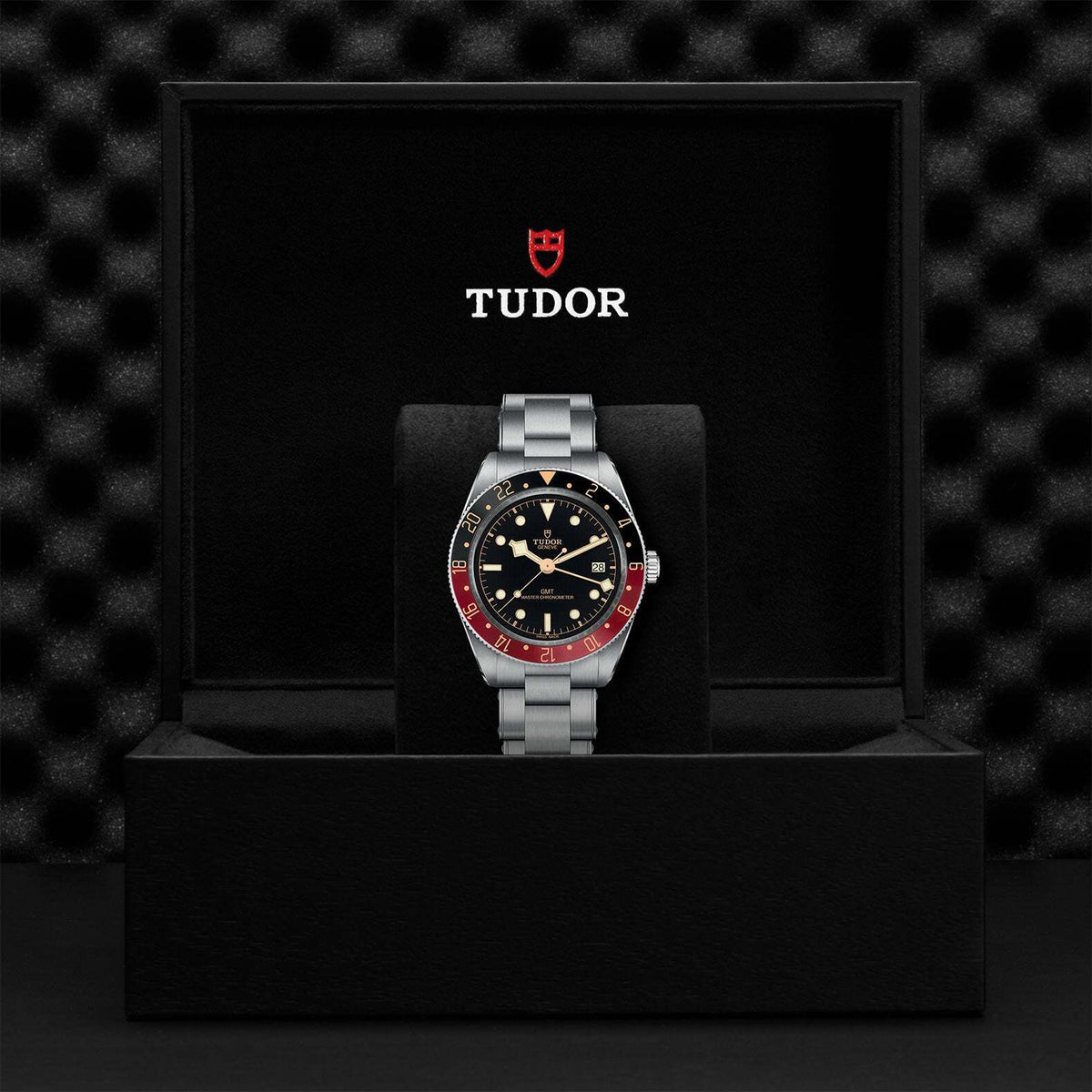 Video Thumbnail: 0001 - Tudor Black Bay 58 Gmt, M7939g1a0nru-0001