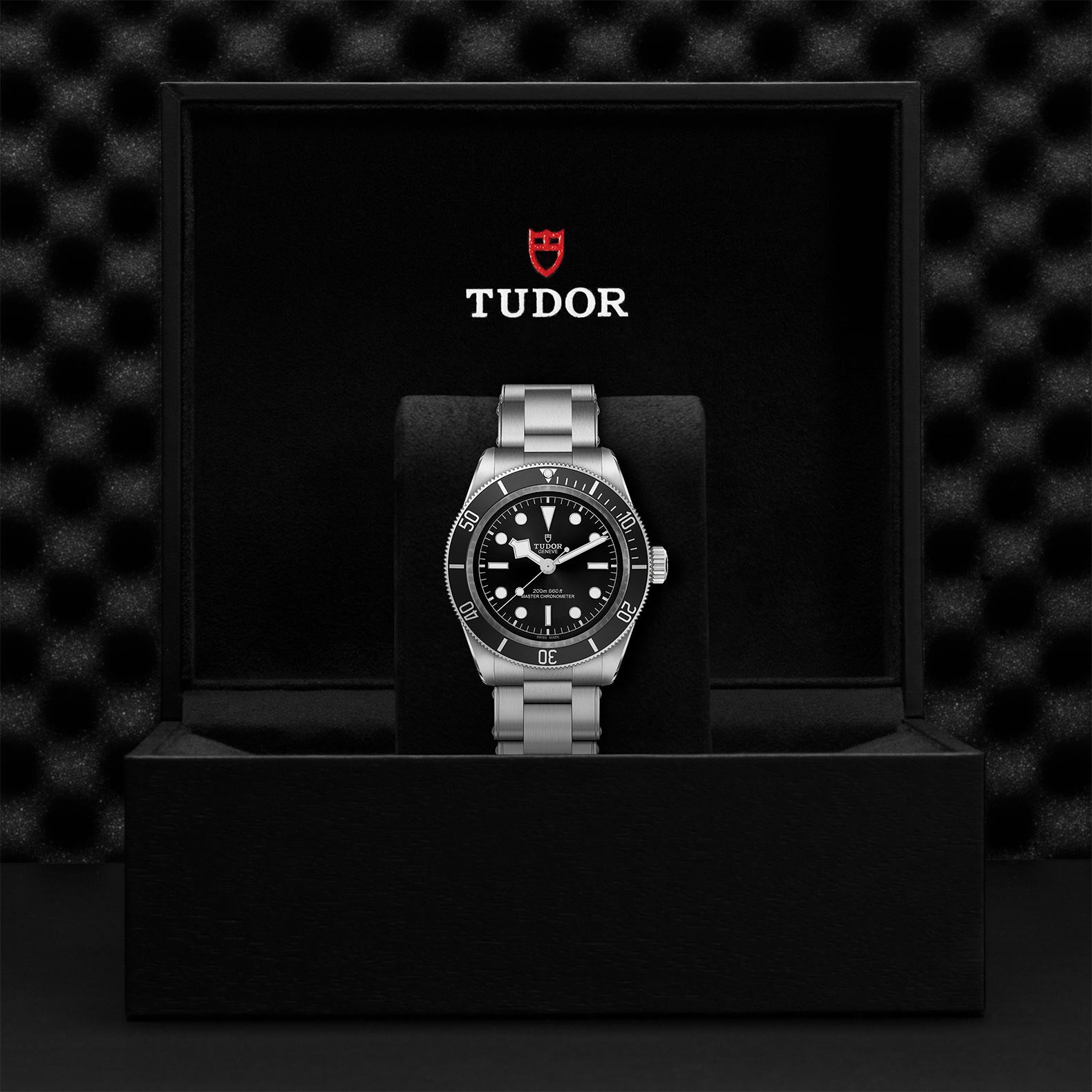 TUDOR BLACK BAY