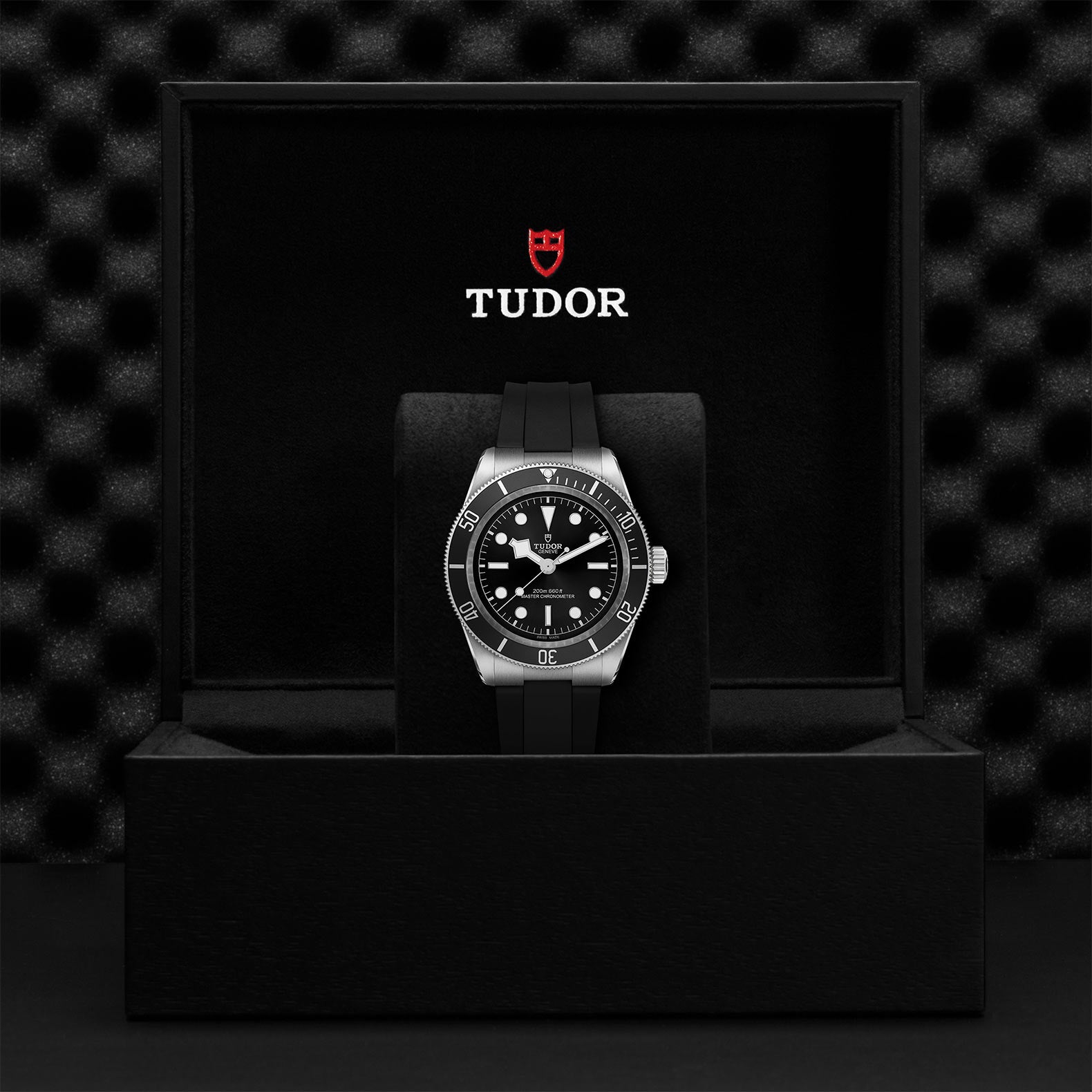 TUDOR BLACK BAY