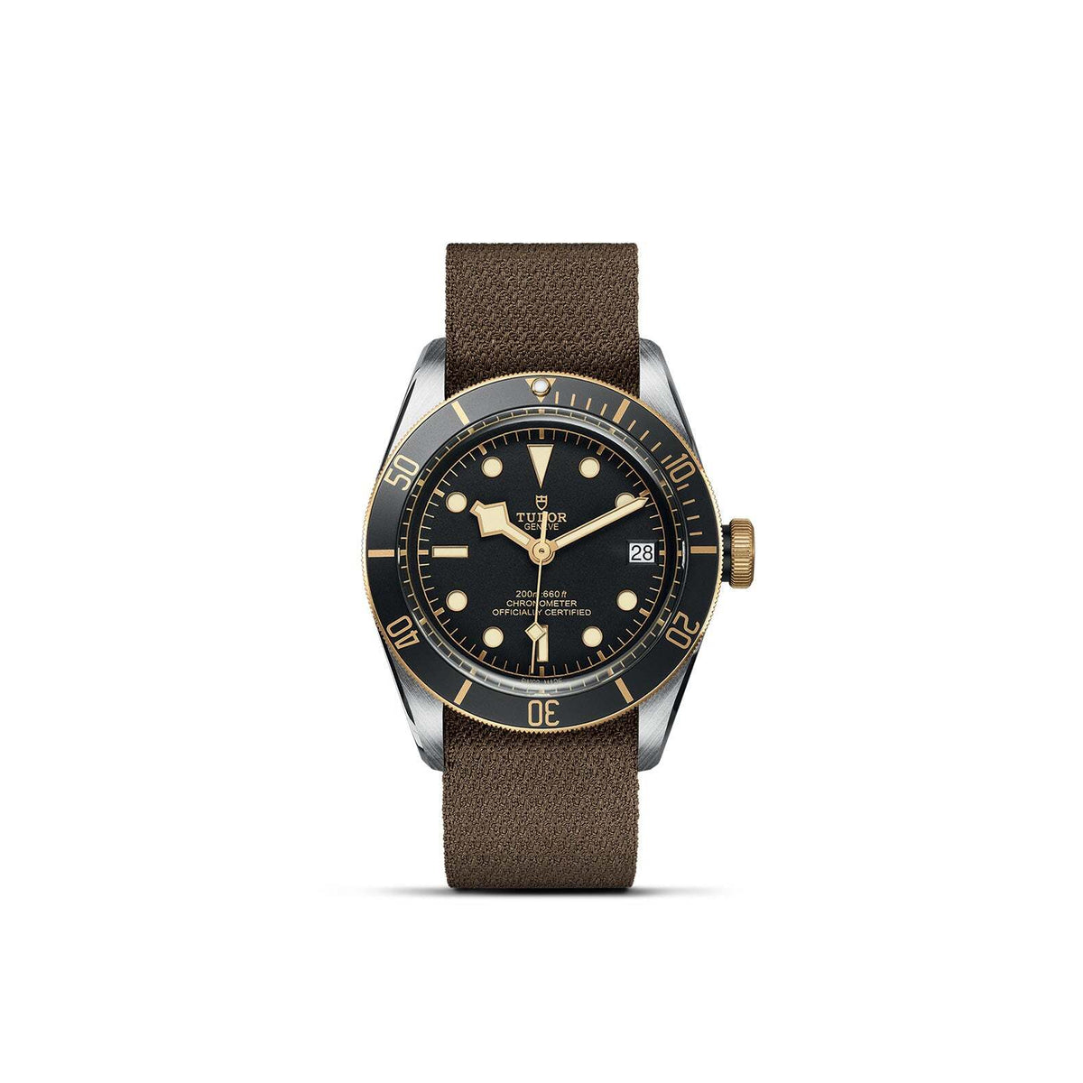 Video Thumbnail: 0005 - Tudor Black Bay S&g M79733n-0005