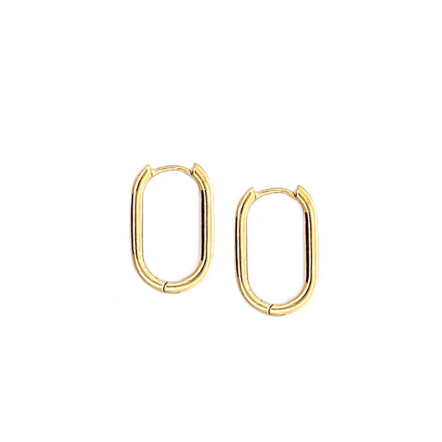 Small Oblong Hoop Earrings