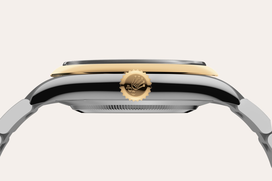 Rolex Oyster Perpetual 41 material visualization