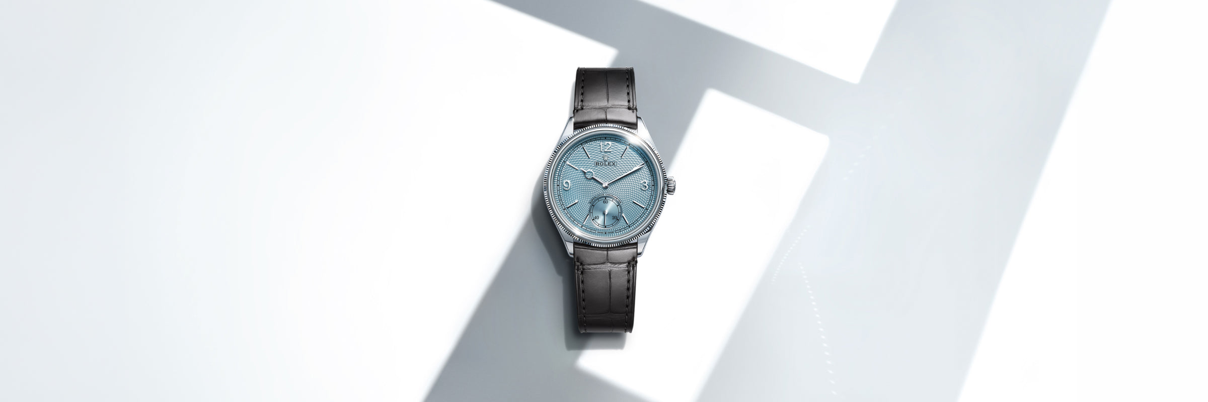 Rolex 1908 with an ice blue dial, fitted to a black, alligator leather strap, set against a white background