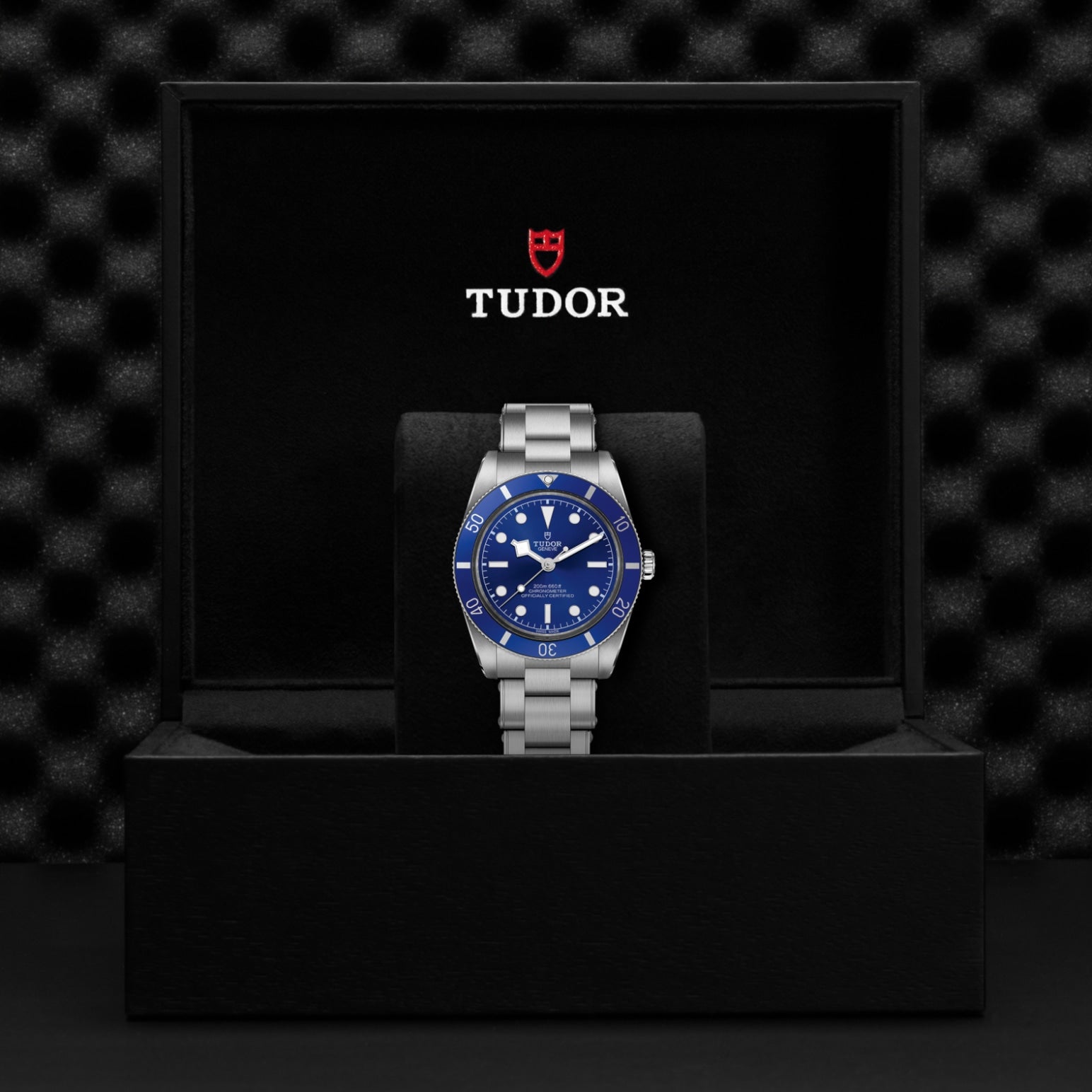 Video Thumbnail: Tudor 0001 4235 - Black Bay 54 M79000b-0001