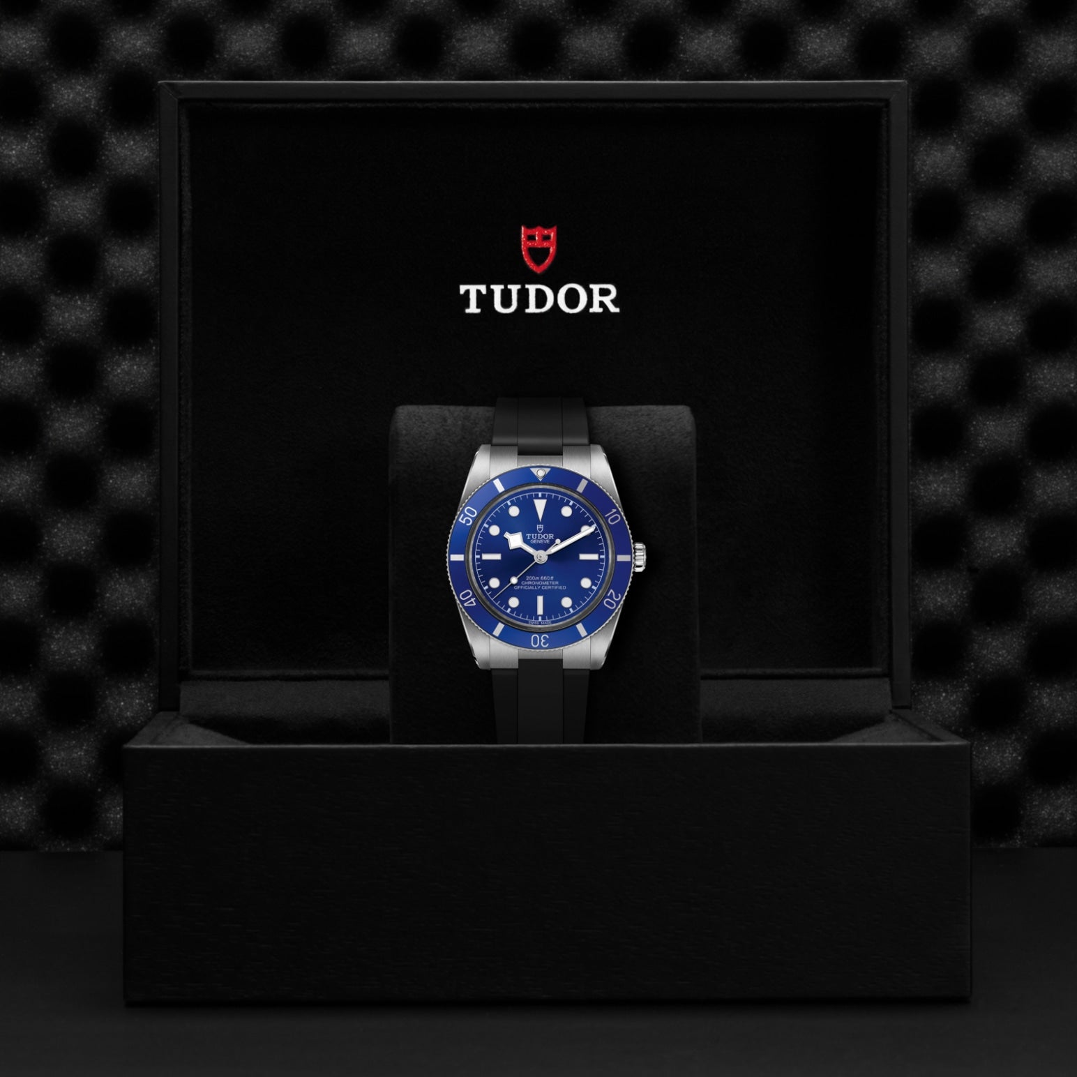 Video Thumbnail: Tudor 0002 - Black Bay 54 M79000b-0002