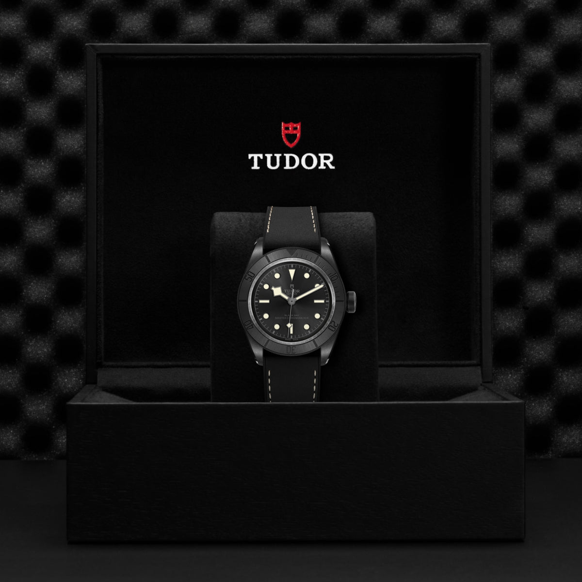 Video Thumbnail: Tudor 0001 - Tudor Black Bay Ceramic M79210cnu-0001