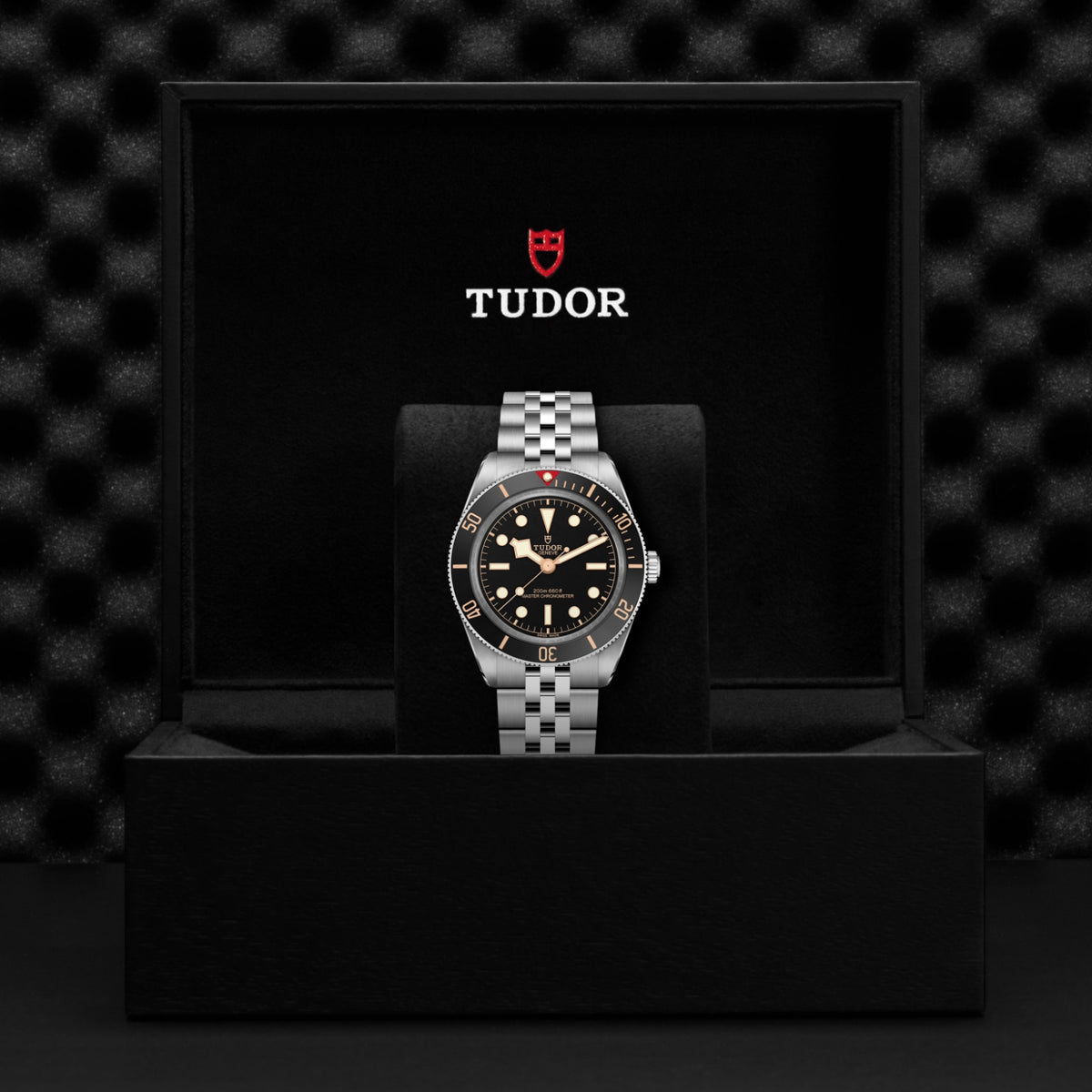 Video Thumbnail: Tudor 0001 - Black Bay 58 M7939a1a0nu-0001