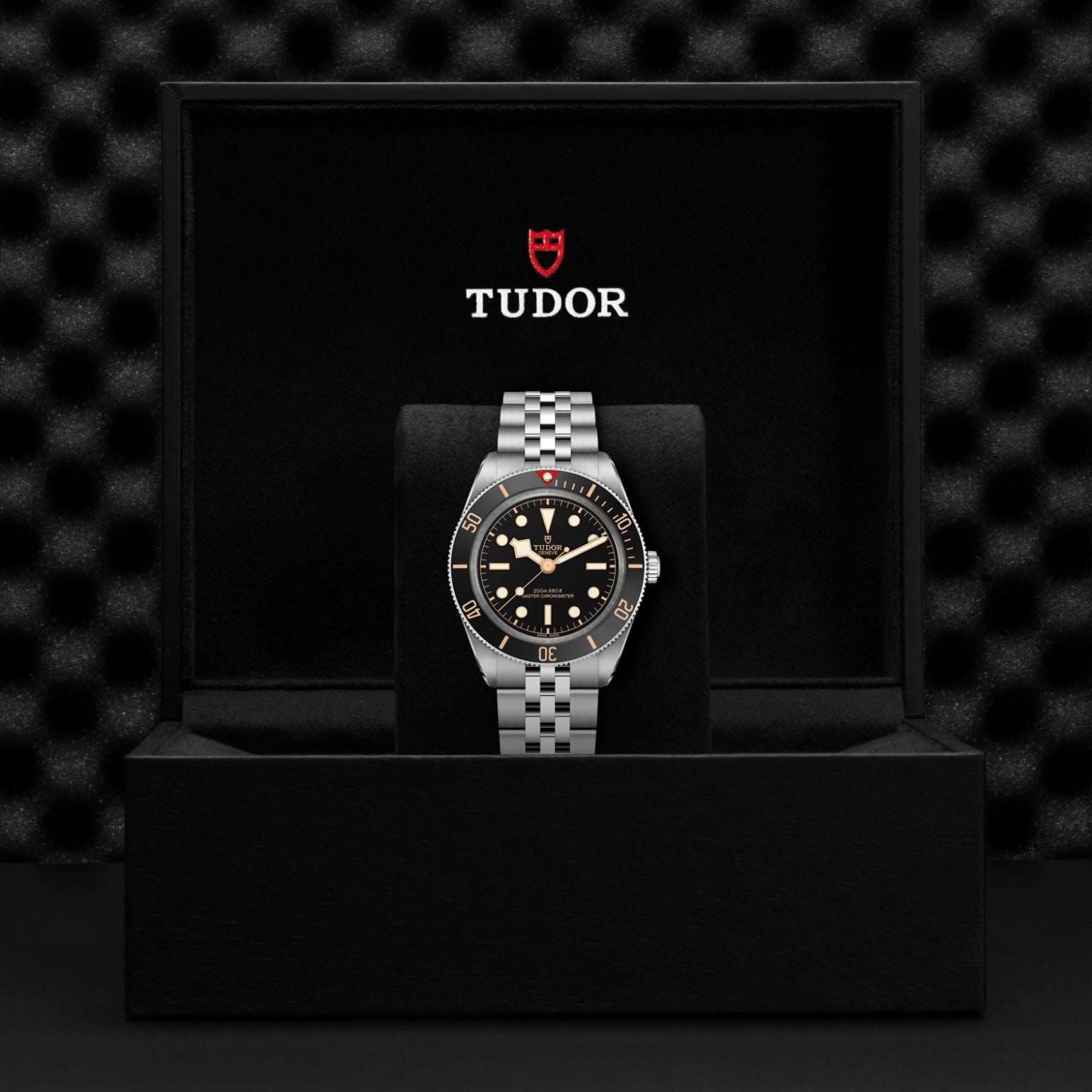 Video Thumbnail: Tudor 0001 - Black Bay 58 M7939a1a0nu-0001