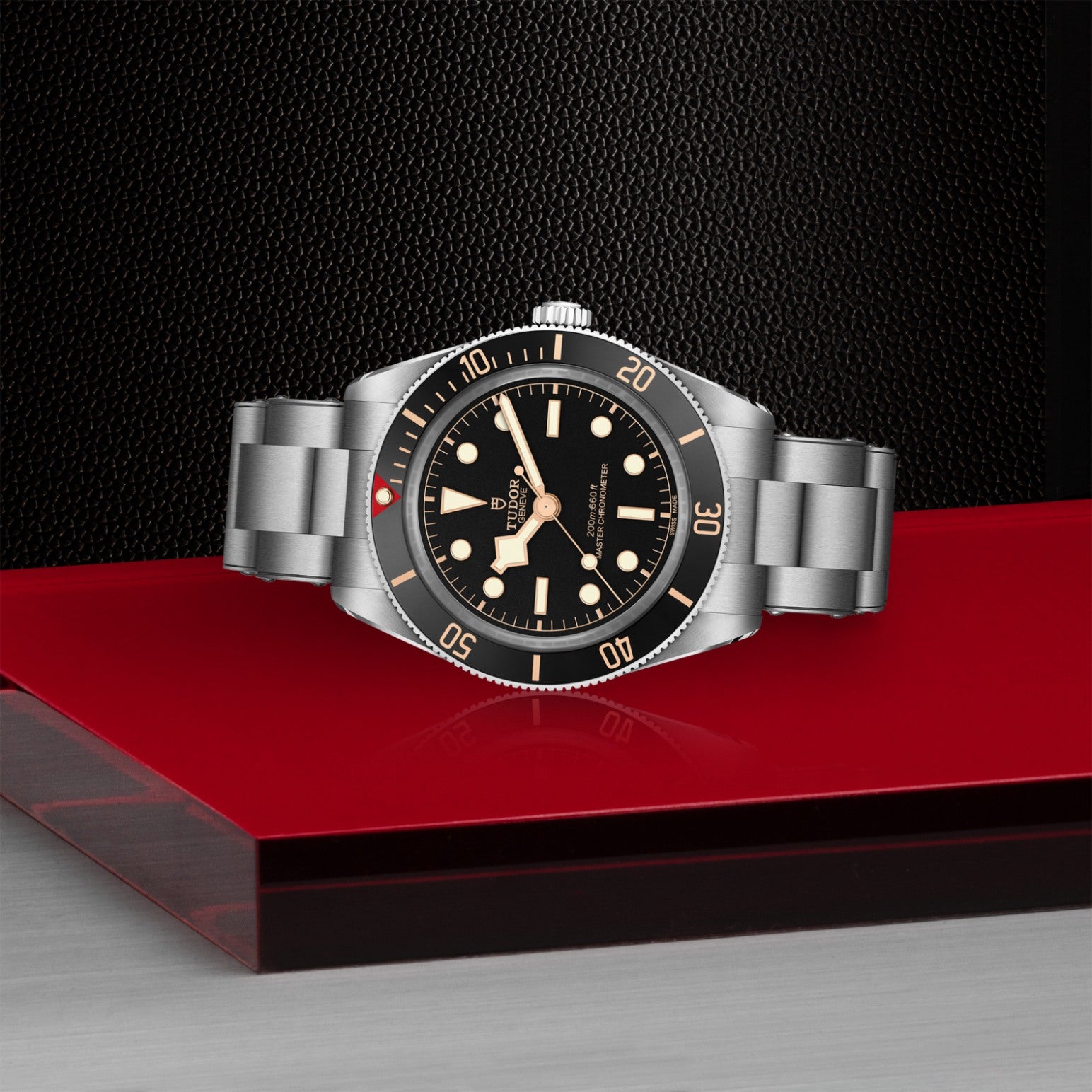 Video Thumbnail: Tudor 0002 4607 8249 - Black Bay 58 M7939a1a0nu-0002