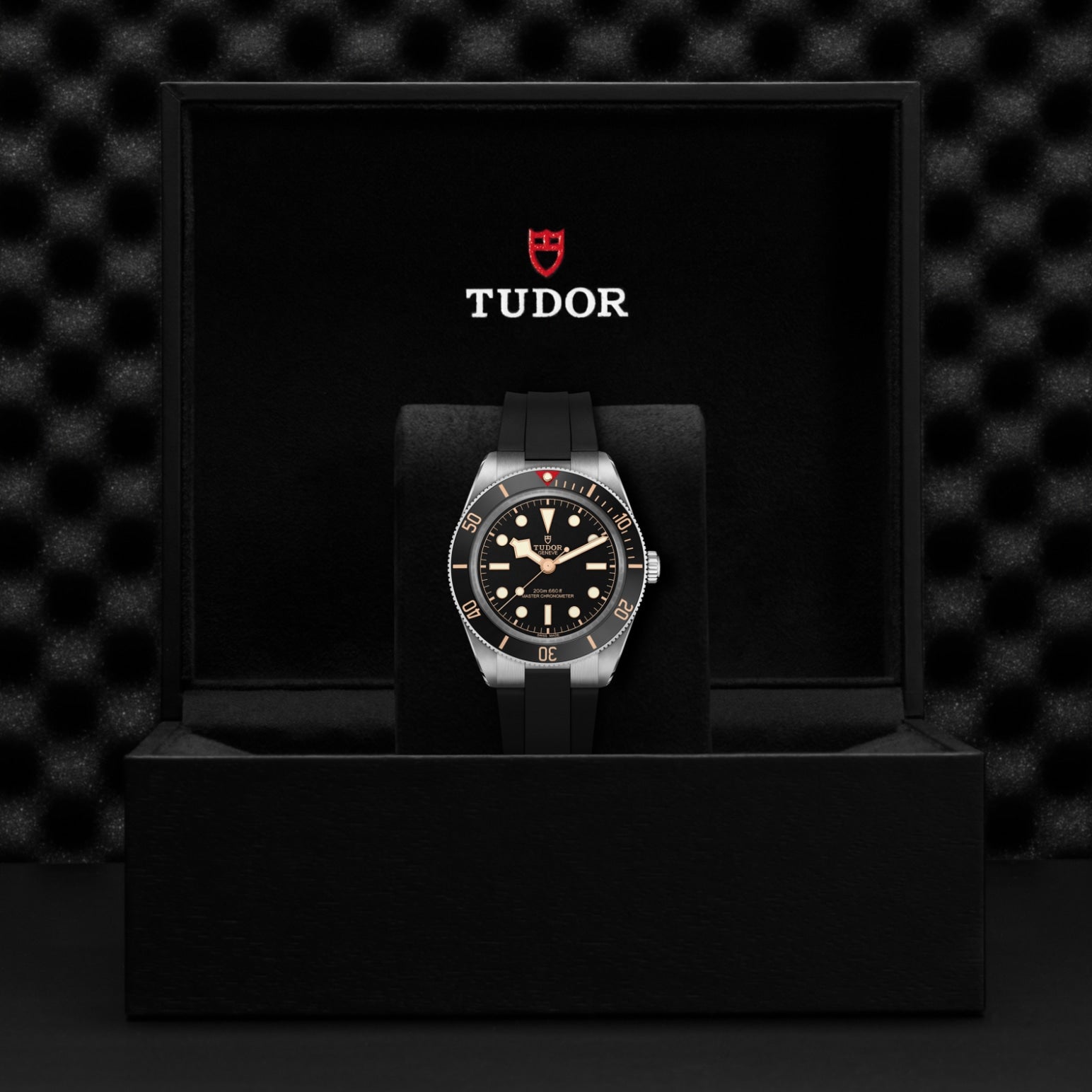Video Thumbnail: Tudor 0003 - Black Bay 58 M7939a1a0nu-0003