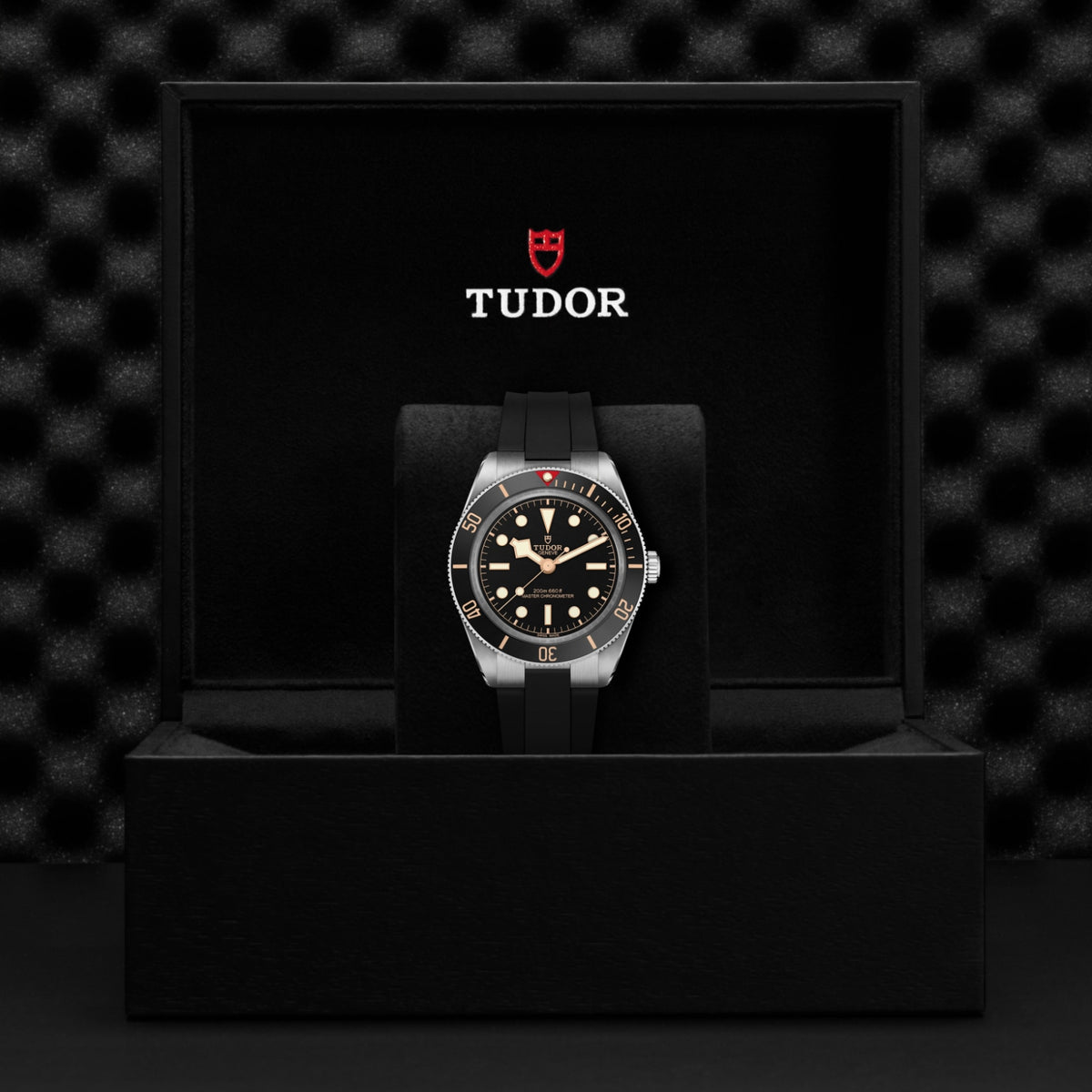 Video Thumbnail: Tudor 0003 - Black Bay 58 M7939a1a0nu-0003