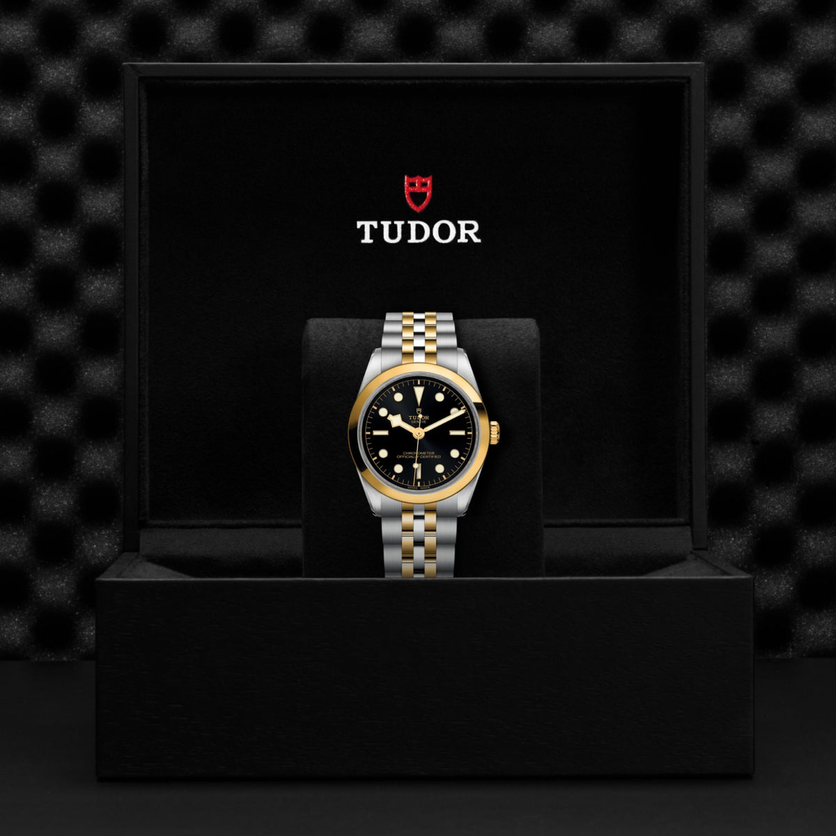 Video Thumbnail: Tudor 0001 - Tudor Black Bay One 36 S&g M79643-0001