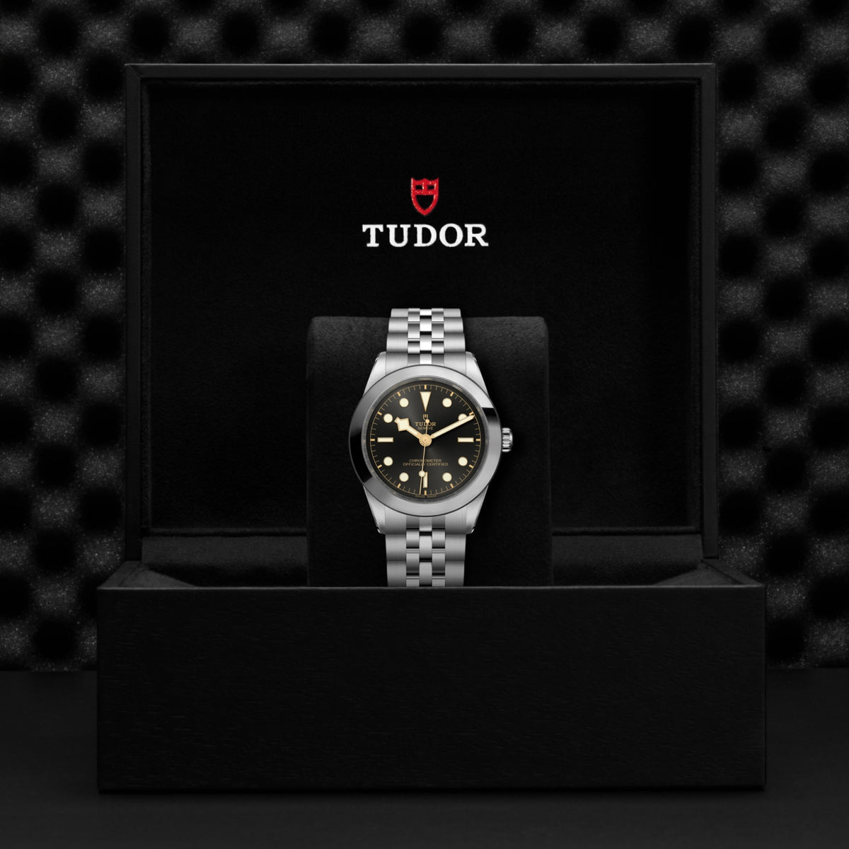 Video Thumbnail: Tudor 0001 - Tudor Black Bay One 39 M79660-0006