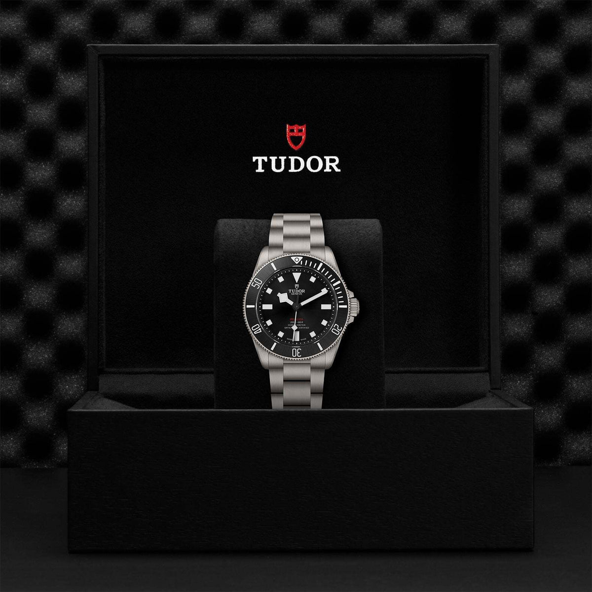 Video Thumbnail: 0001 - Tudor Pelagos 39 M25407n-0001
