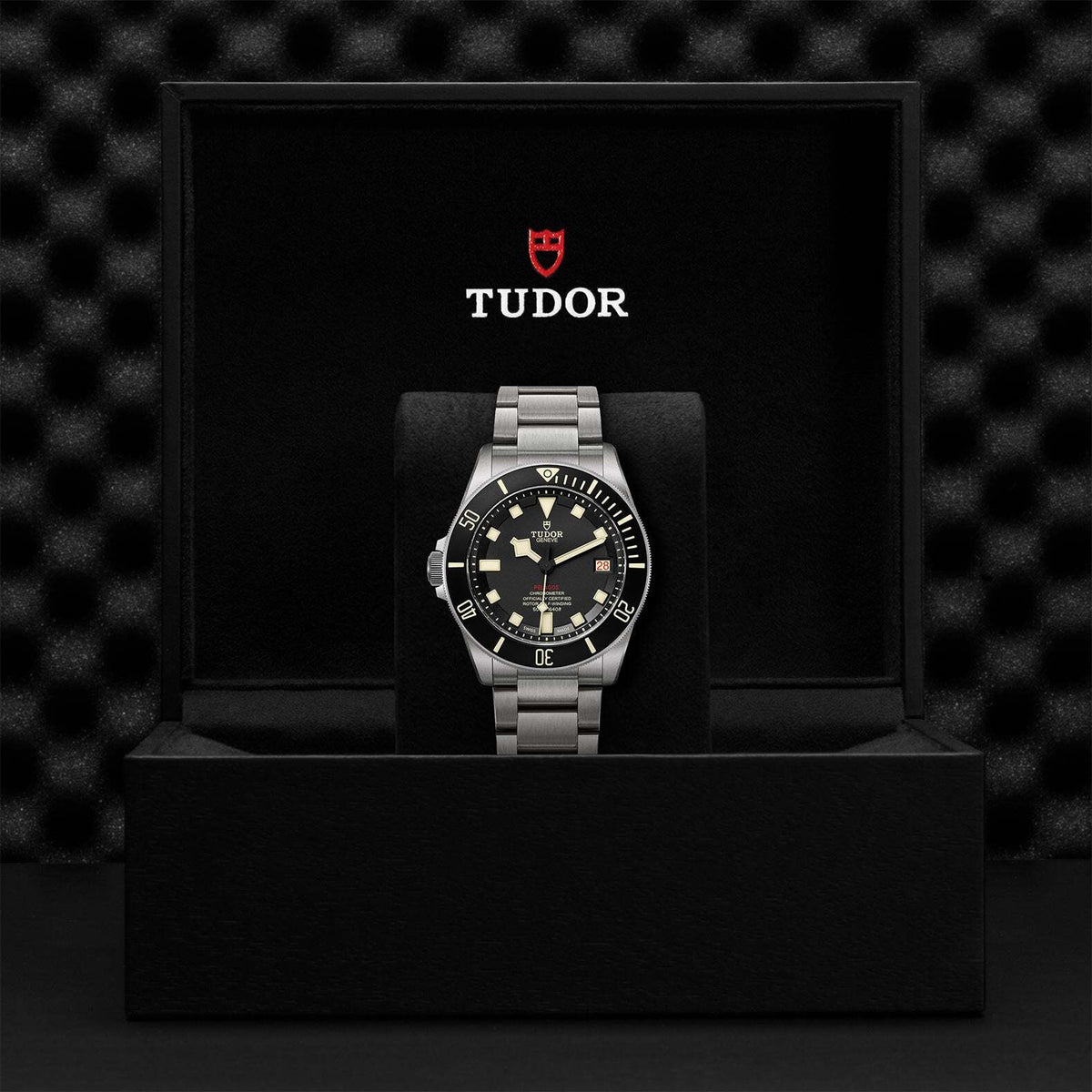 Video Thumbnail: 0001 8317 - Tudor Pelagos Lhd M25610tnl-0001