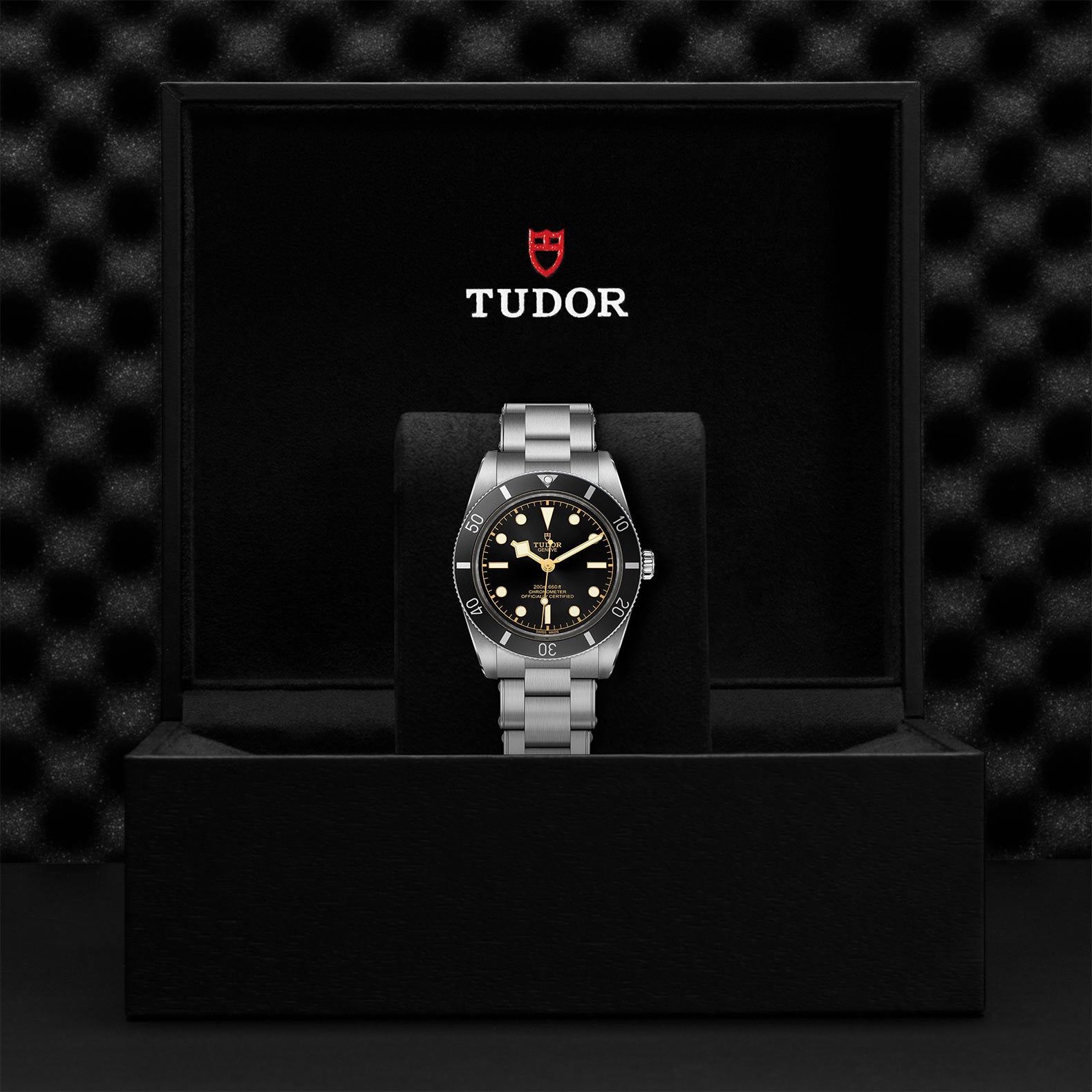 TUDOR BLACK BAY 54