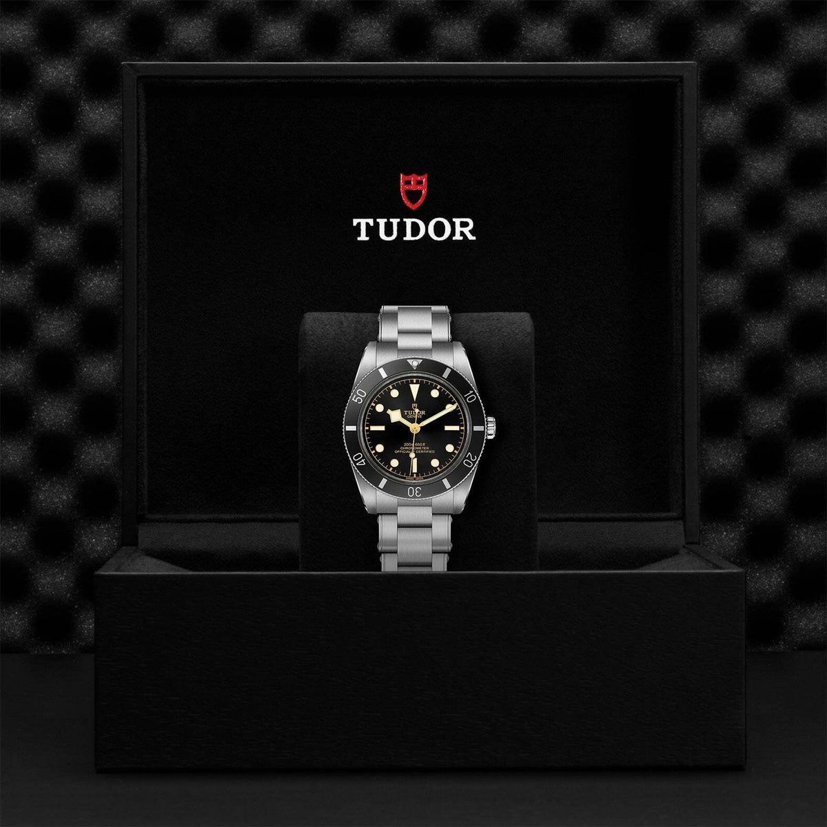 Video Thumbnail: 0001 9932 - Tudor Black Bay 54, M79000n-0001