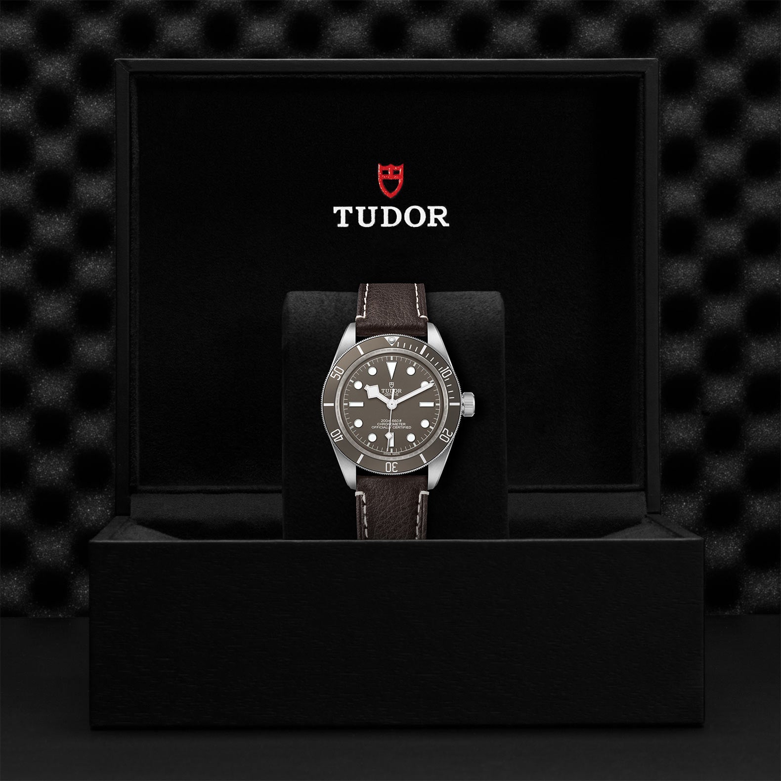 TUDOR BLACK BAY 58 925