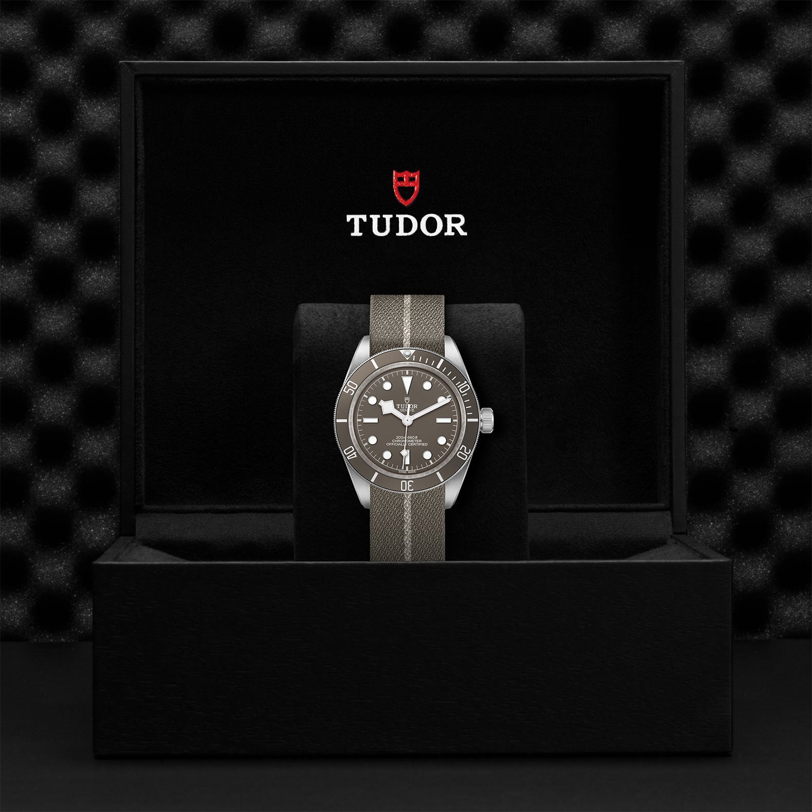 TUDOR BLACK BAY 58 925