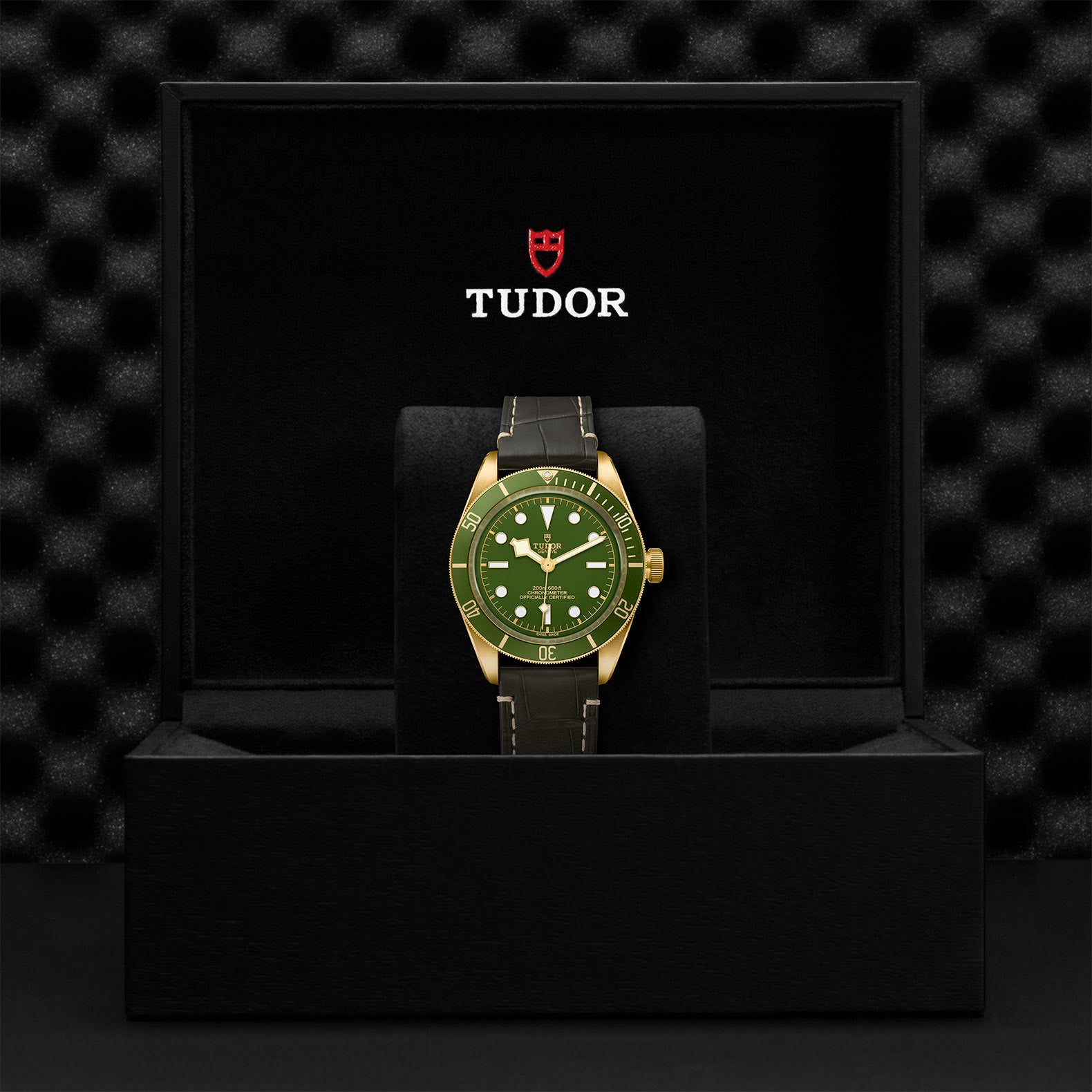 TUDOR BLACK BAY 58 18K