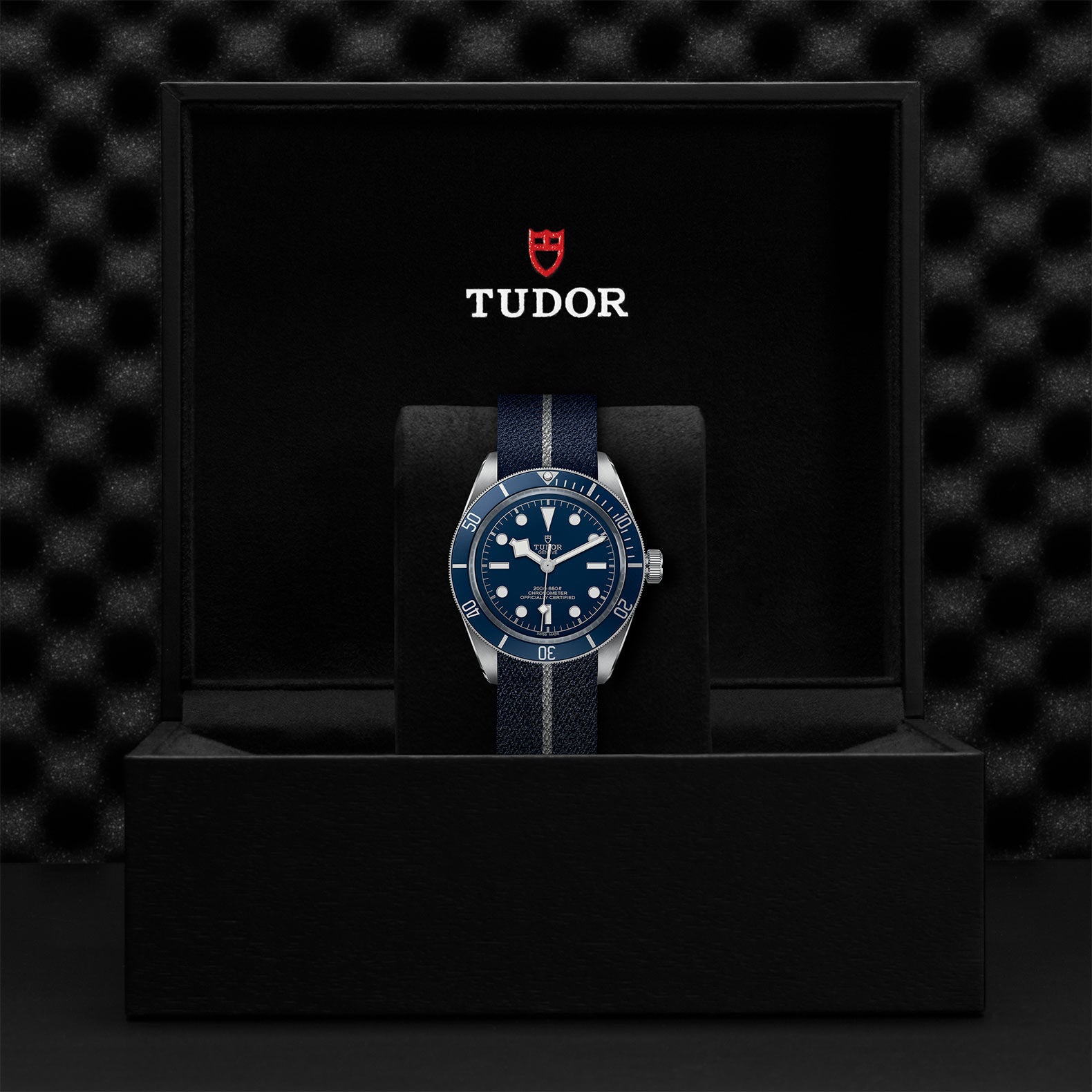 TUDOR BLACK BAY 58
