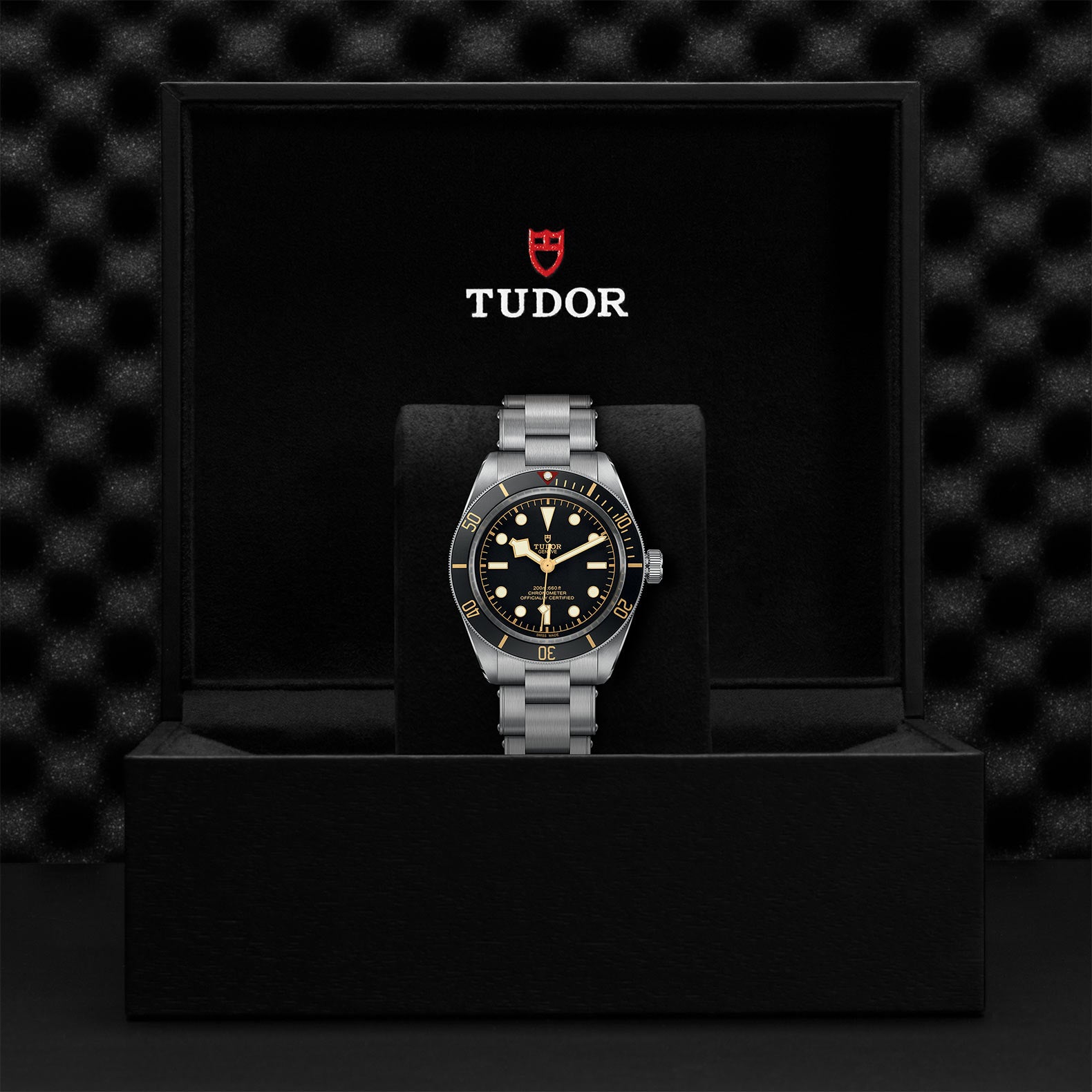 TUDOR BLACK BAY 58