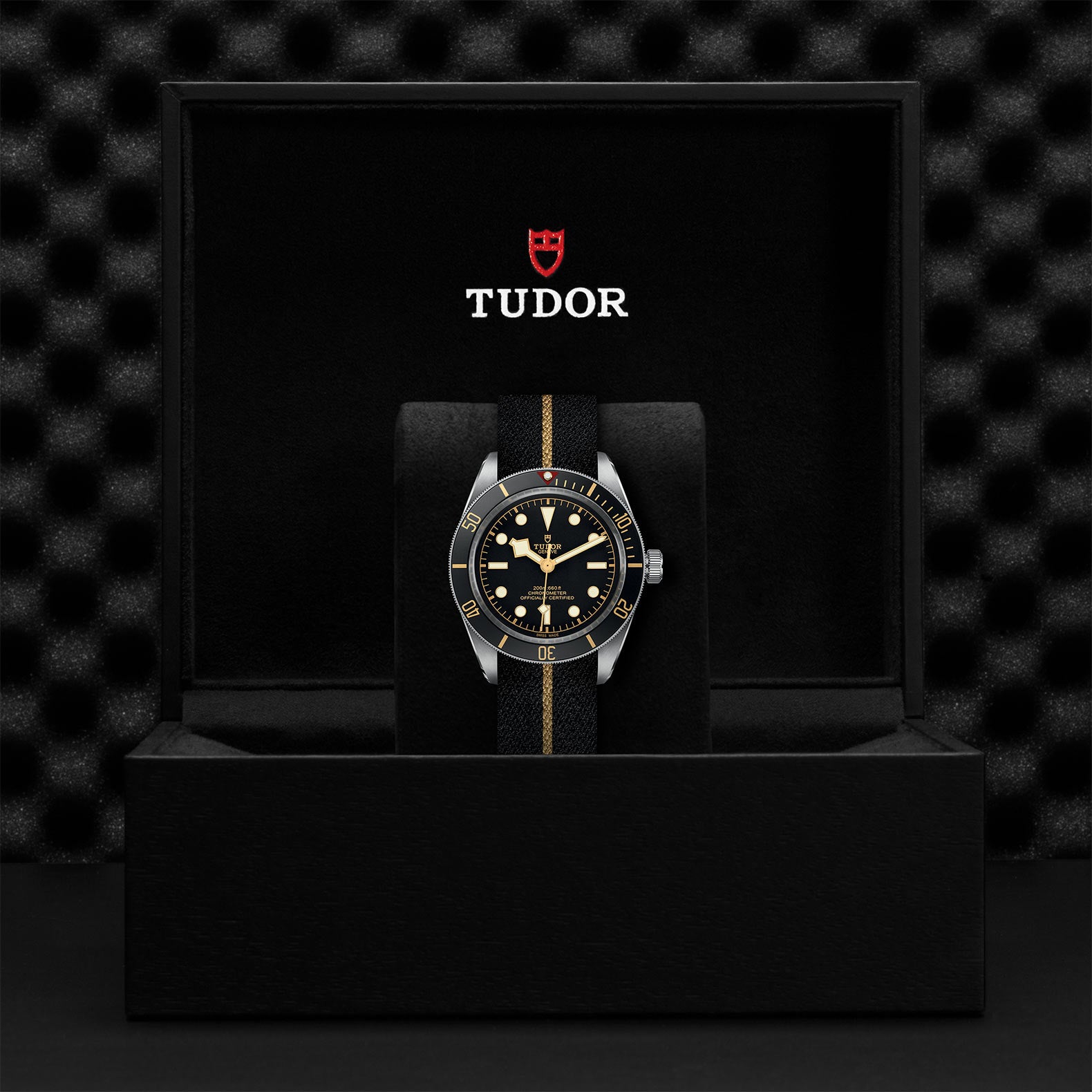 TUDOR BLACK BAY 58