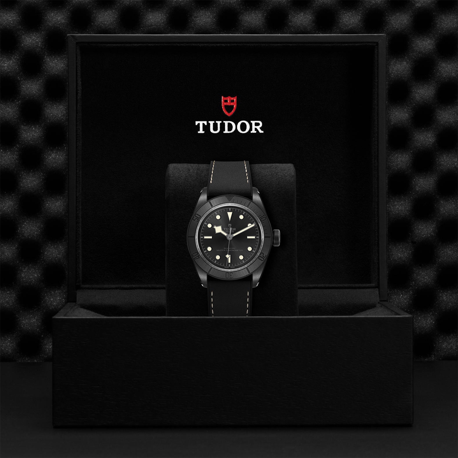 TUDOR BLACK BAY CERAMIC