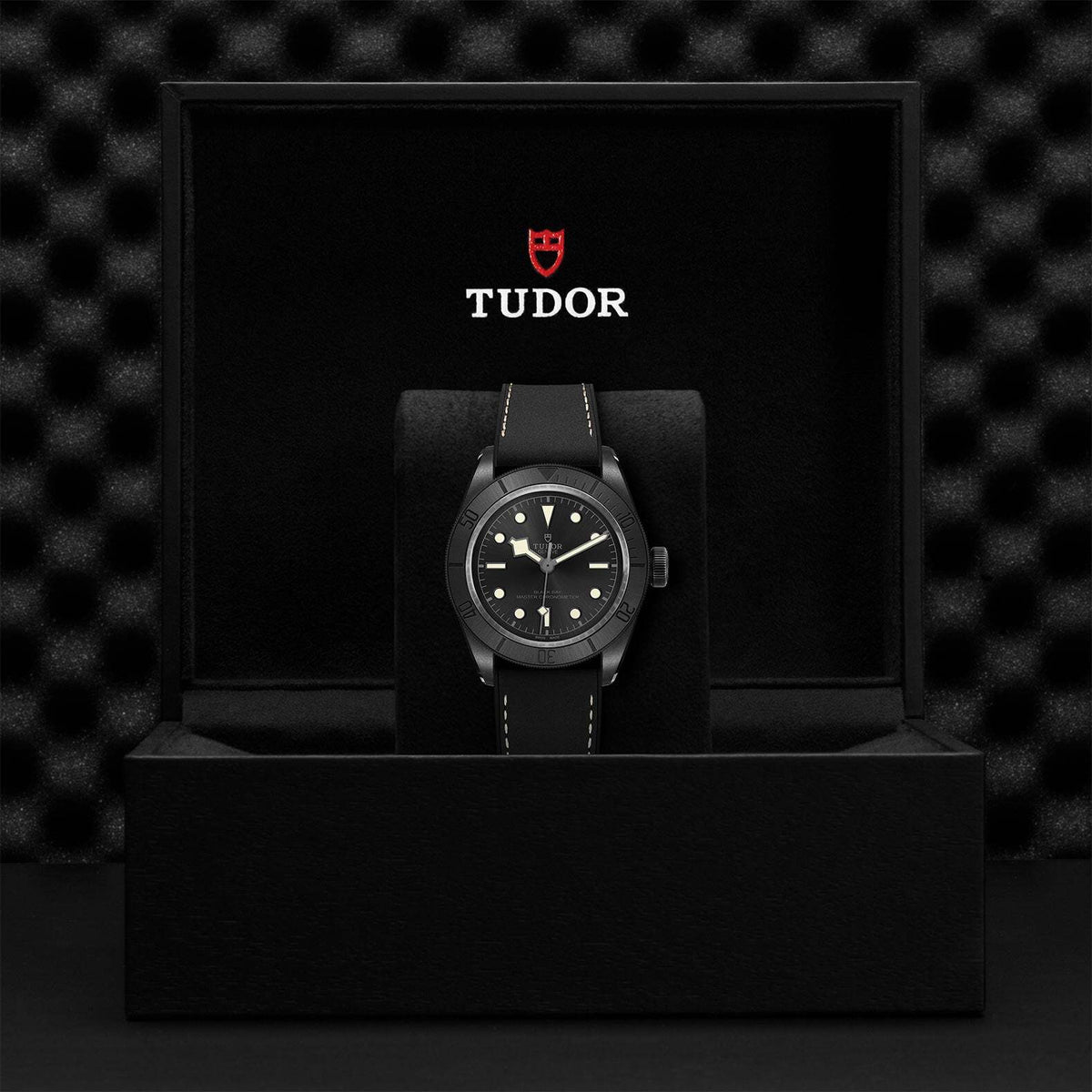 Video Thumbnail: 0001 - Tudor Black Bay Ceramic M79210cnu-0001