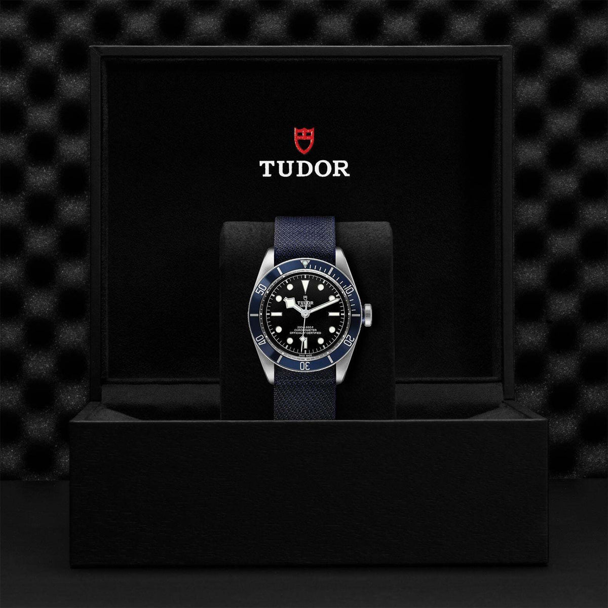 Video Thumbnail: 0006 - Tudor Black Bay M79230b-0006