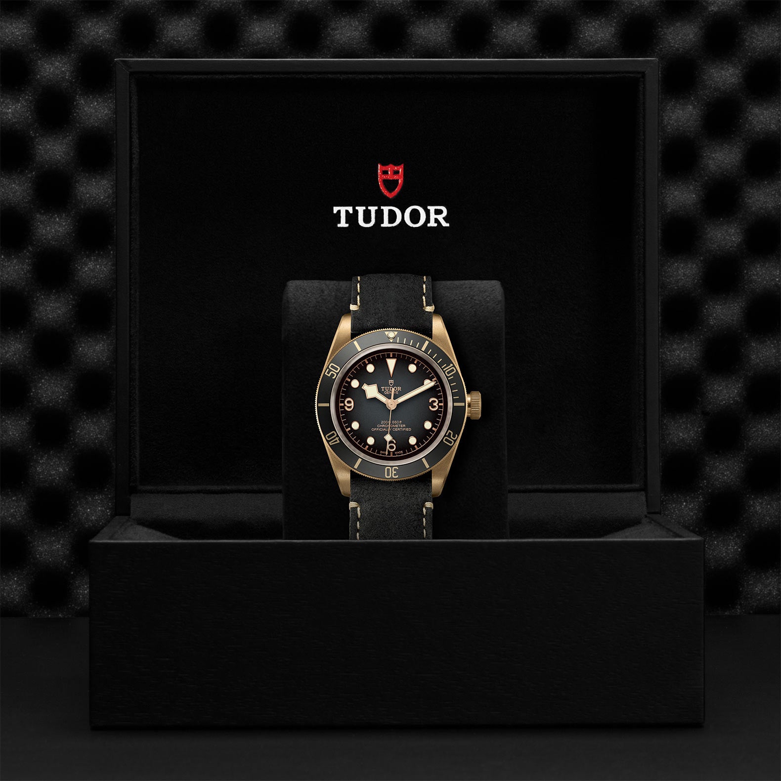 TUDOR BLACK BAY BRONZE