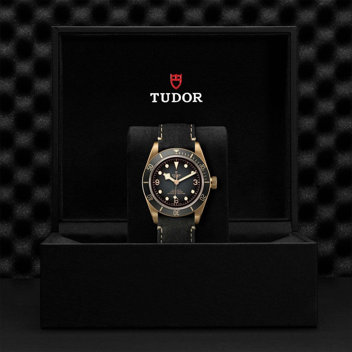 Video Thumbnail: 0001 - Tudor Black Bay Bronze M79250ba-0001