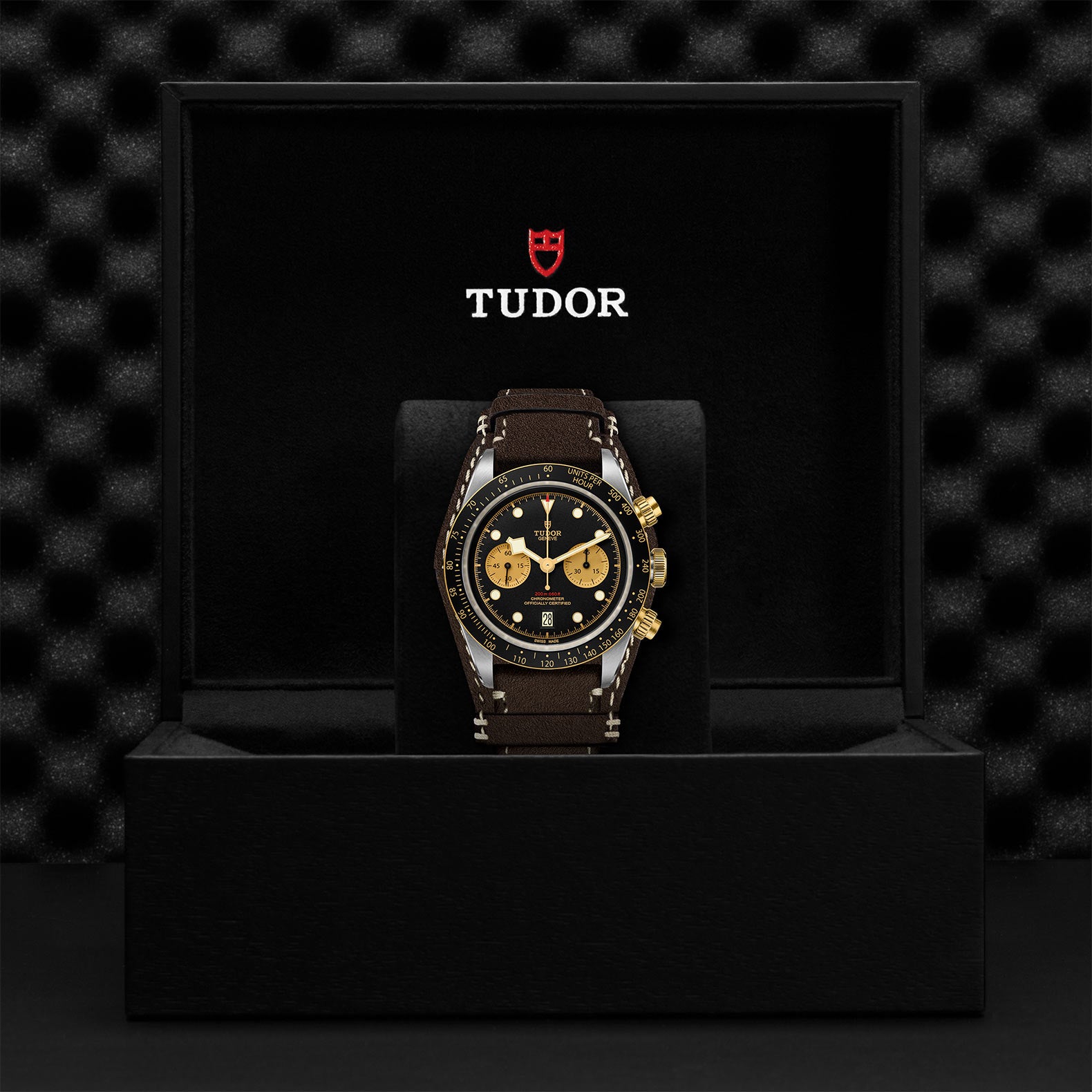 TUDOR BLACK BAY CHRONO S&G