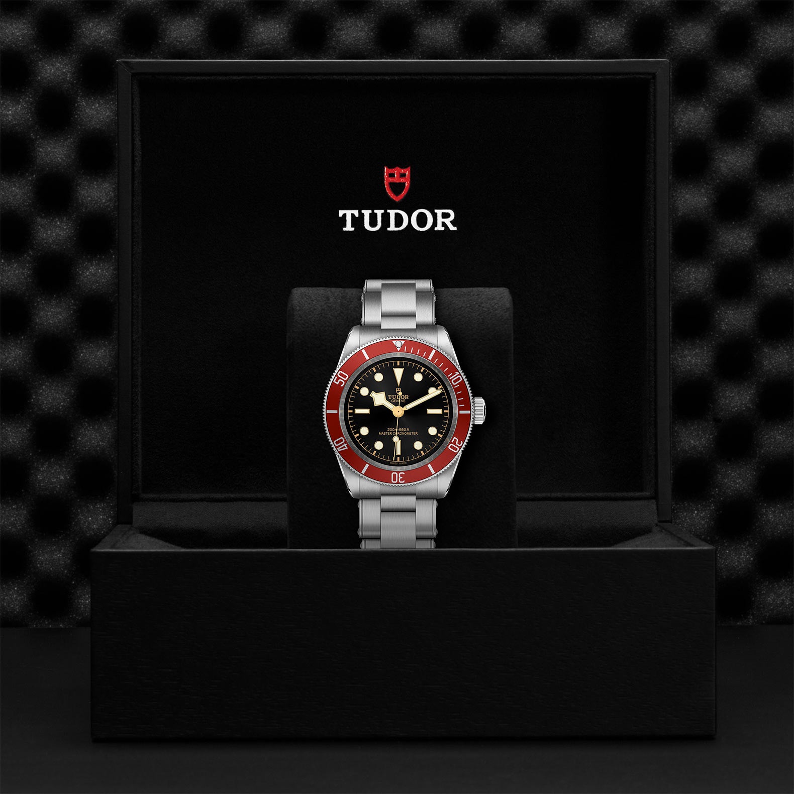 TUDOR BLACK BAY
