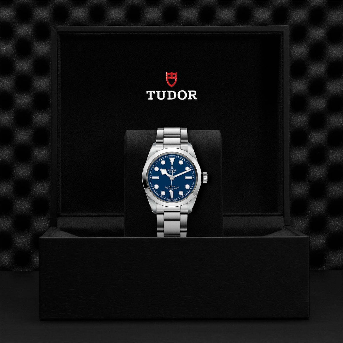 Video Thumbnail: 0004 - Tudor Black Bay 36 - Howard Fine Jewellers