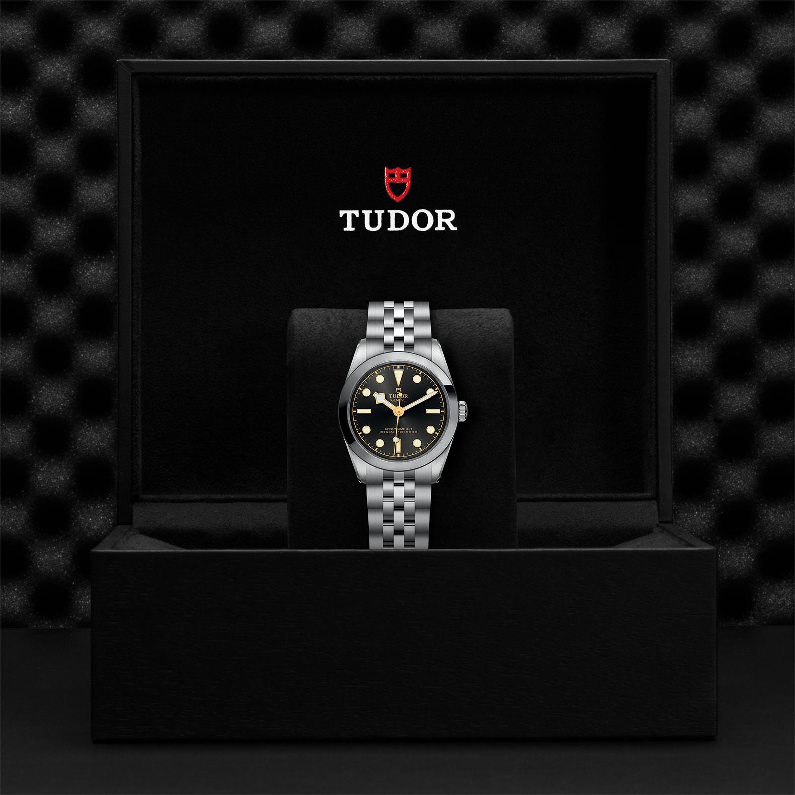 TUDOR BLACK BAY ONE 31
