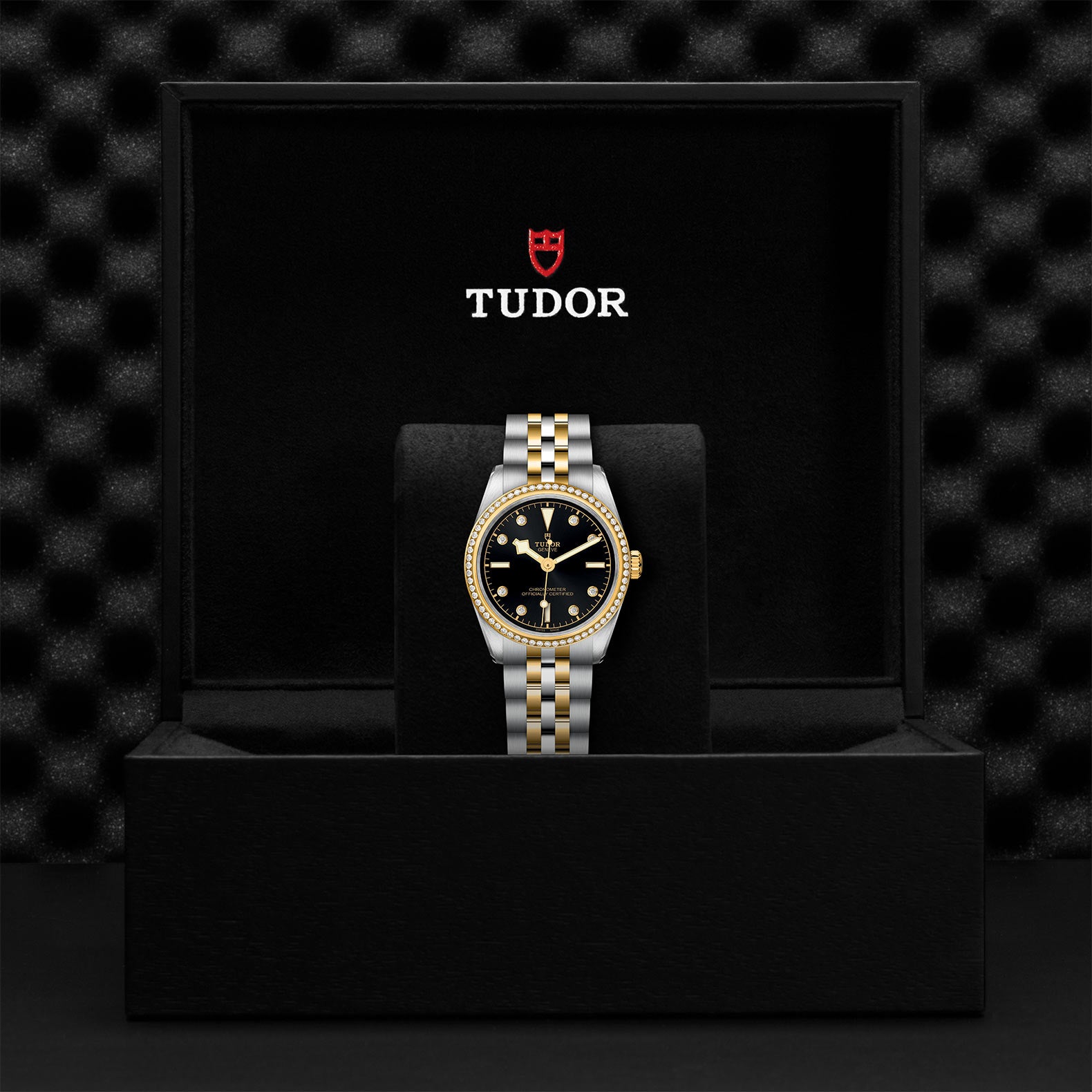 TUDOR BLACK BAY ONE 31 S&G