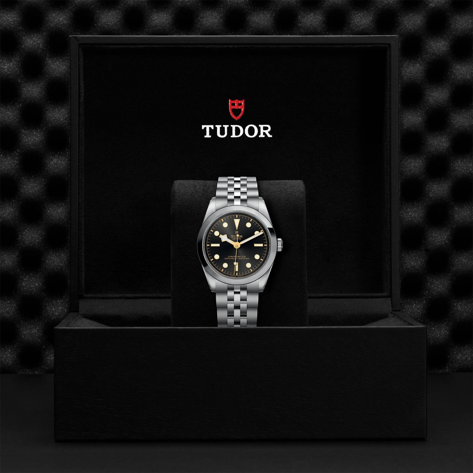 TUDOR BLACK BAY ONE 36