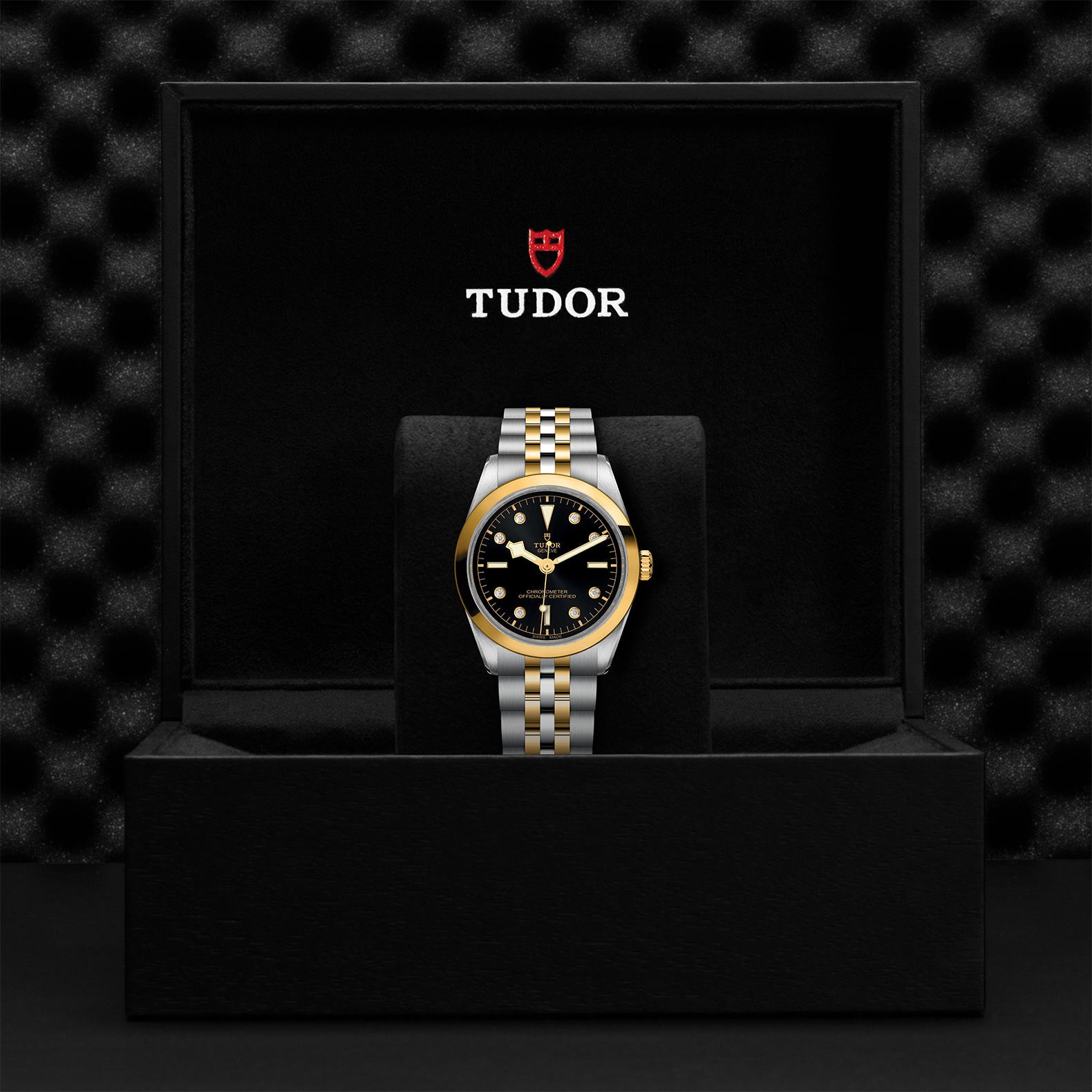 TUDOR BLACK BAY ONE 36 S&G