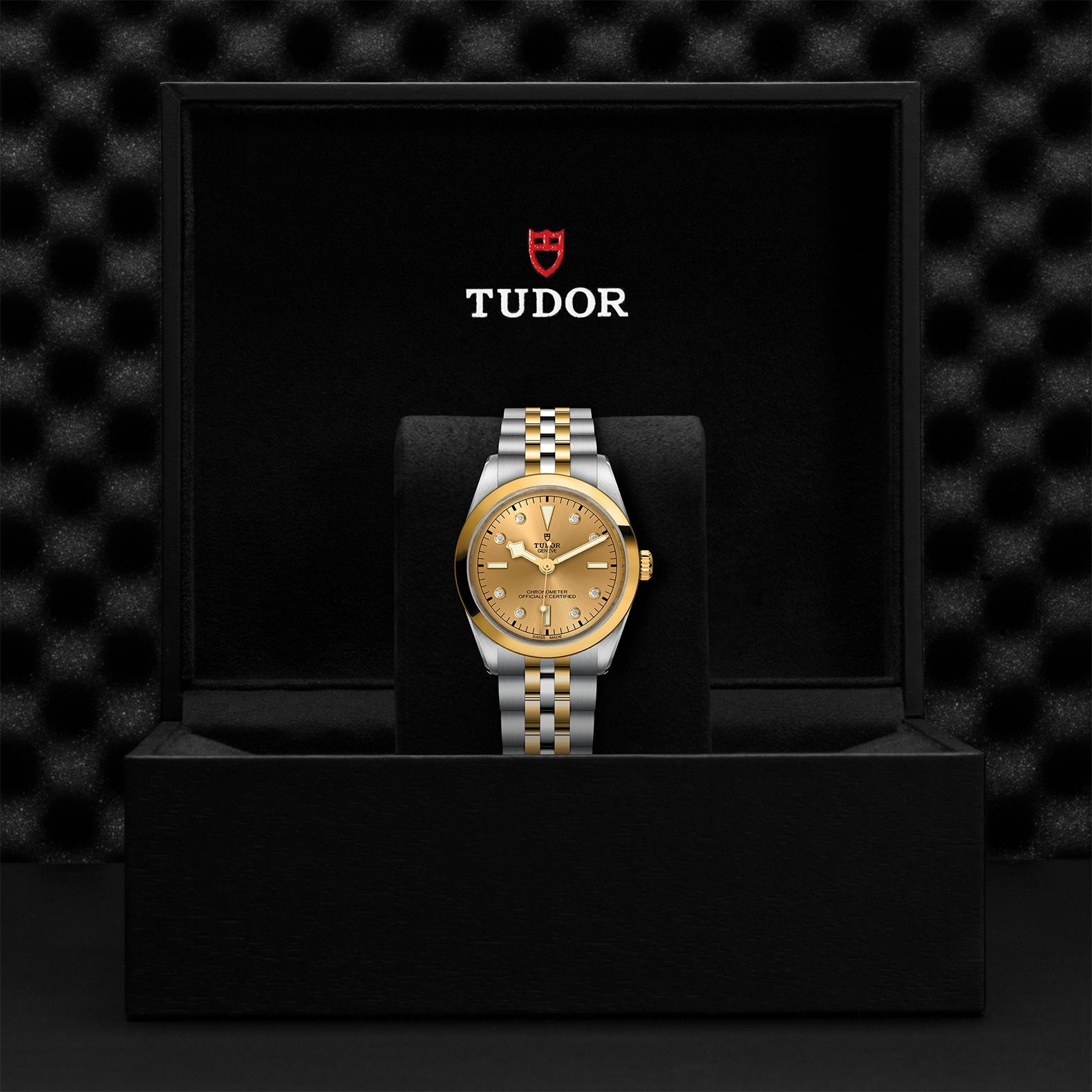 TUDOR BLACK BAY ONE 36 S&G