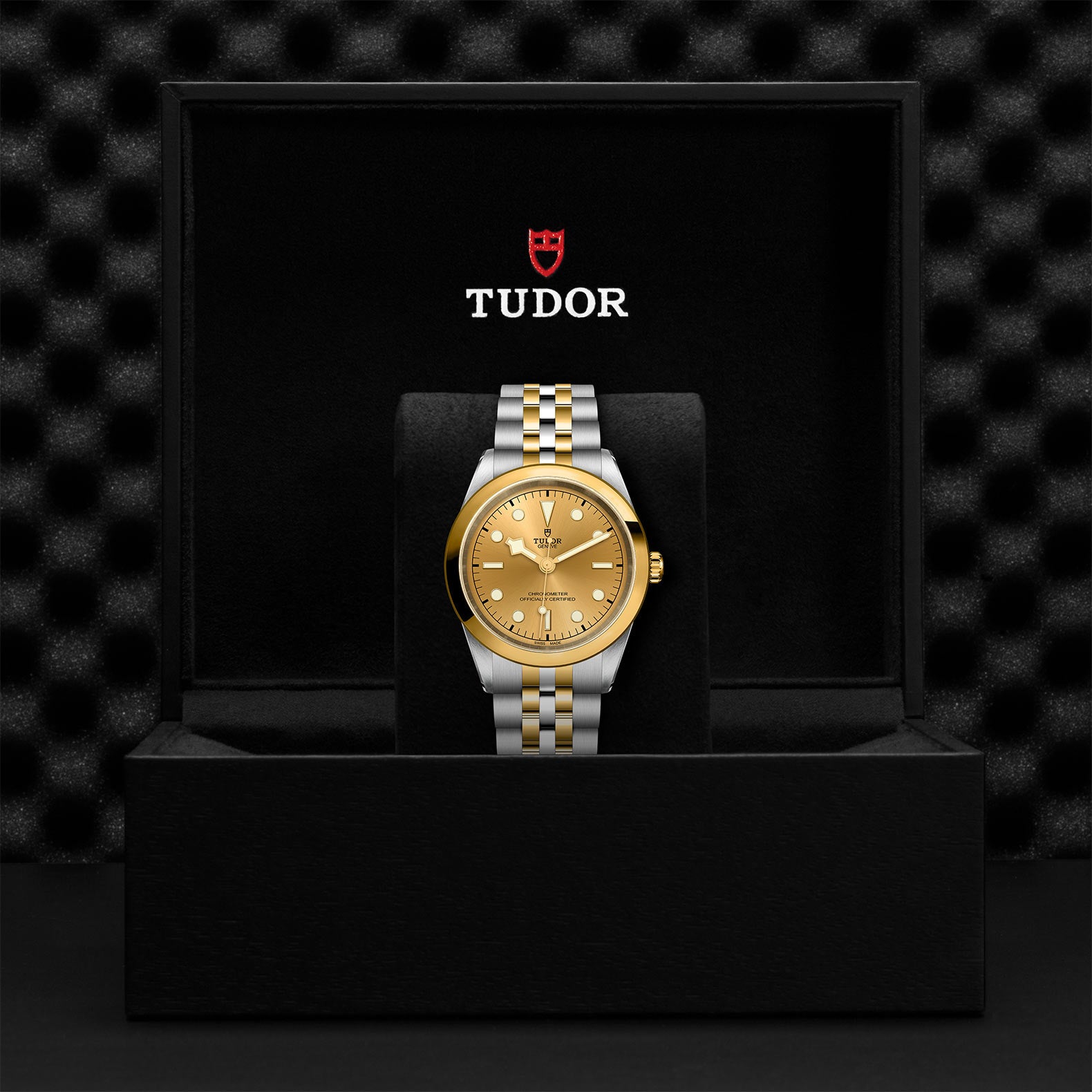 TUDOR BLACK BAY ONE 41 S&G