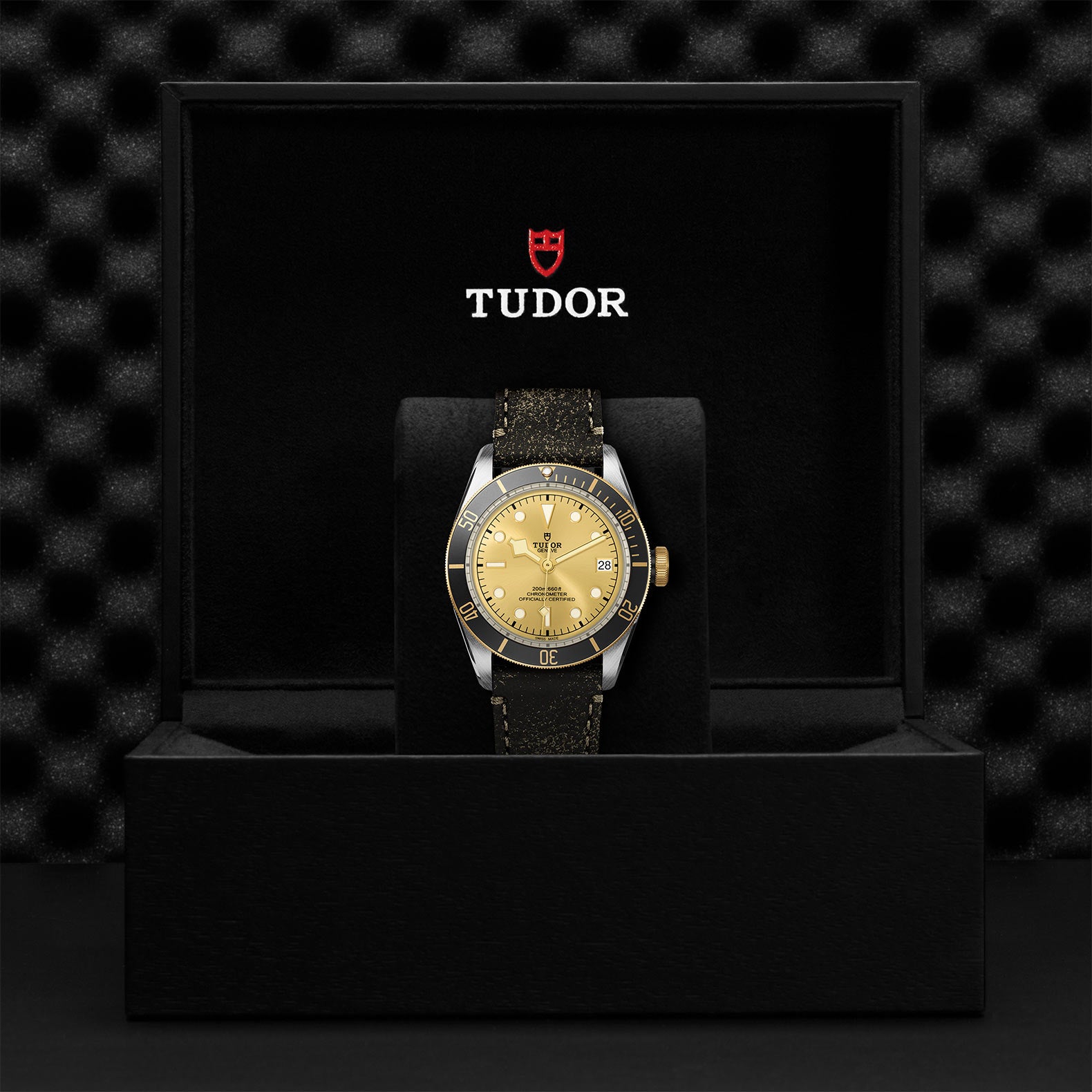 TUDOR BLACK BAY S&G