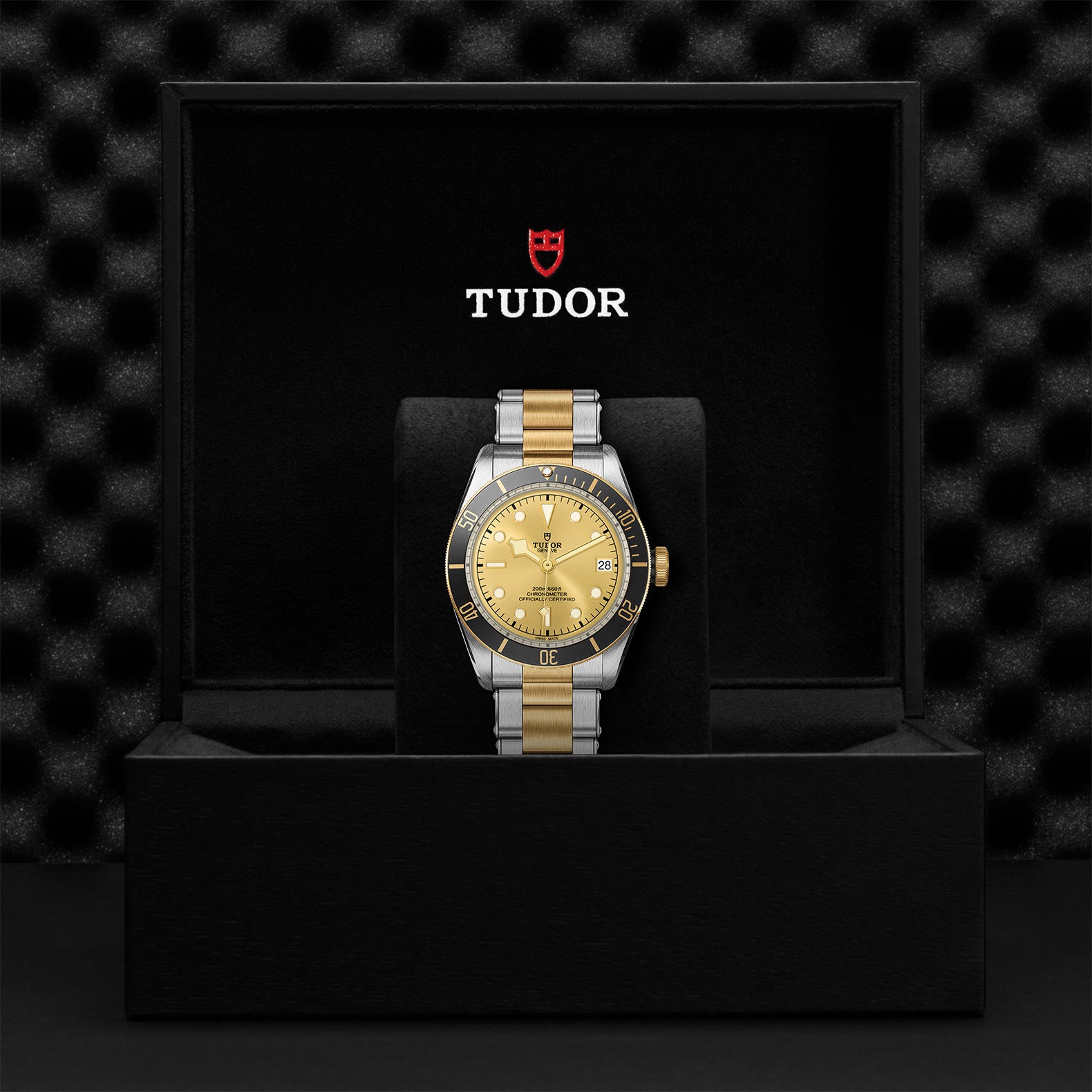 TUDOR BLACK BAY S&G