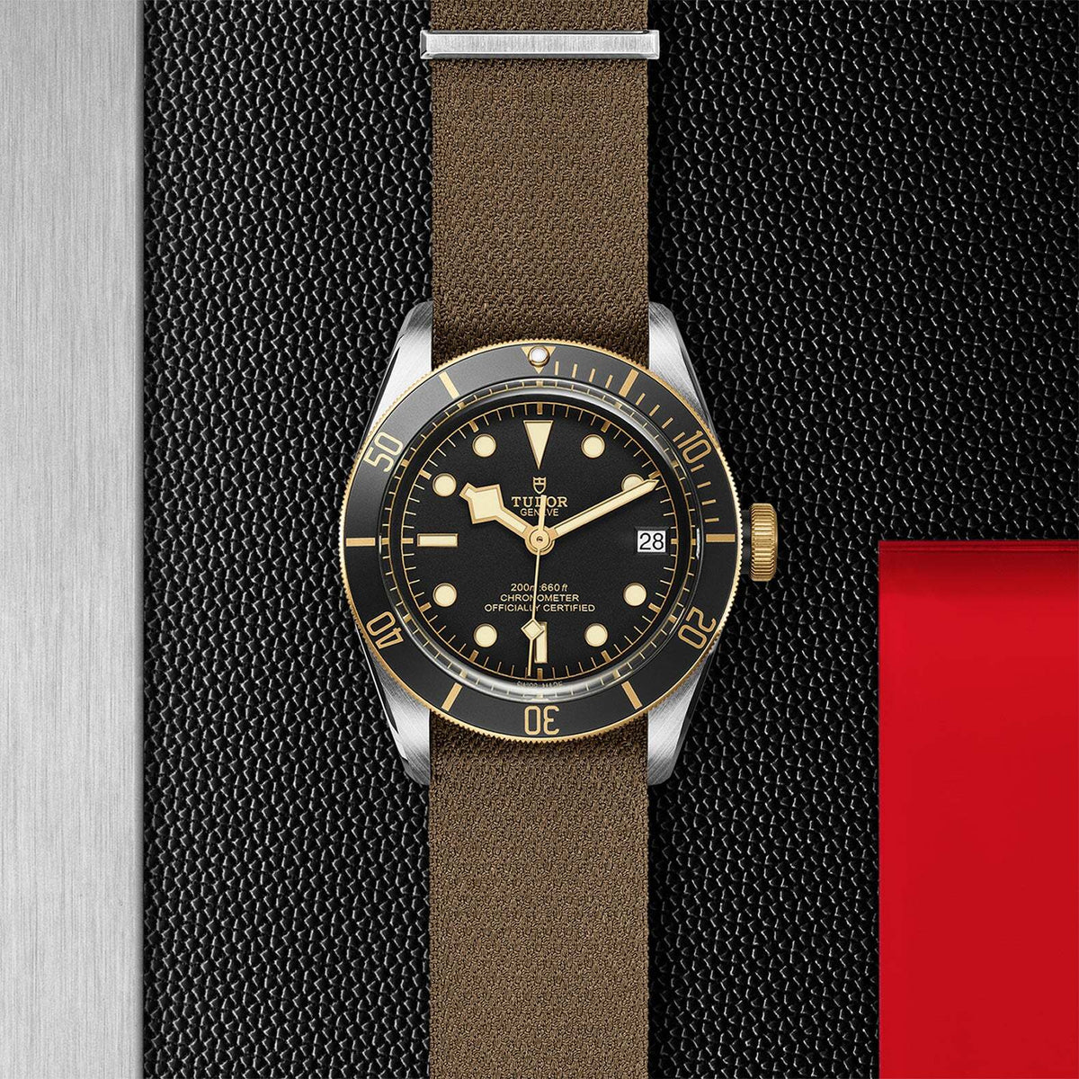 Video Thumbnail: 0005 4366 - Tudor Black Bay S&g M79733n-0005