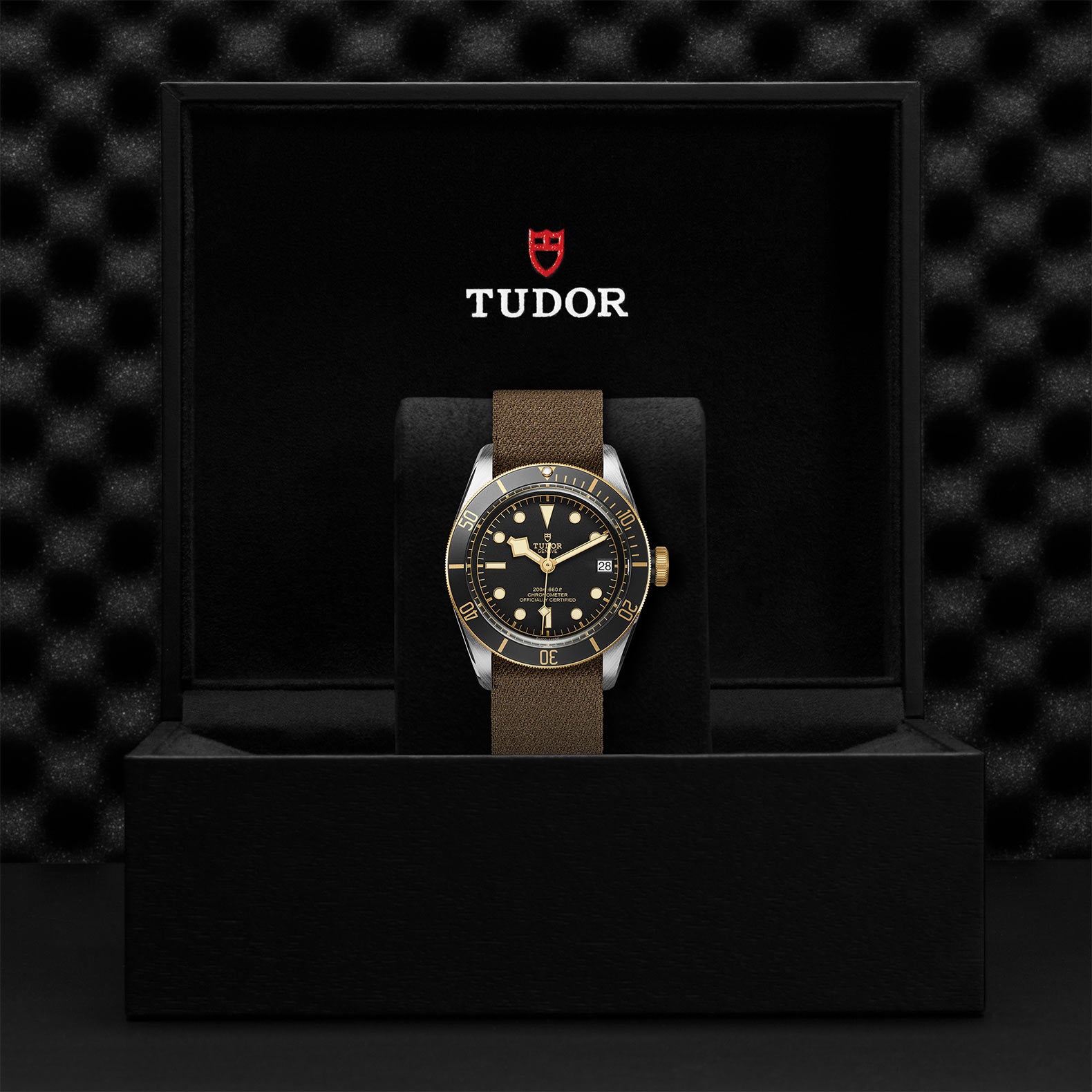 TUDOR BLACK BAY S&G