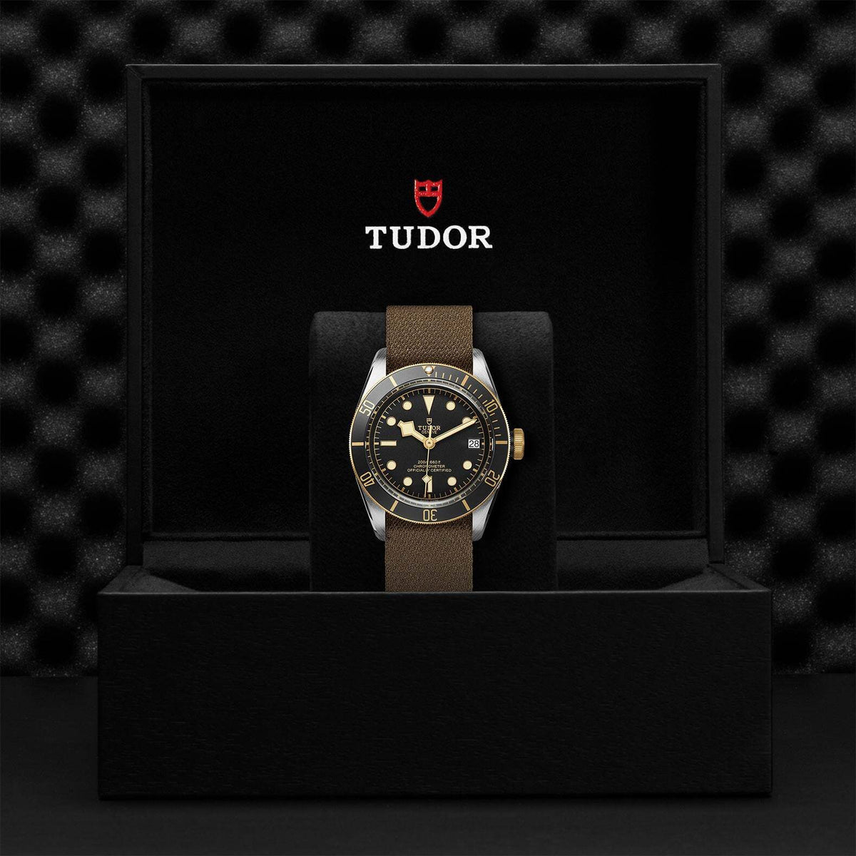 Video Thumbnail: 0005 - Tudor Black Bay S&g M79733n-0005