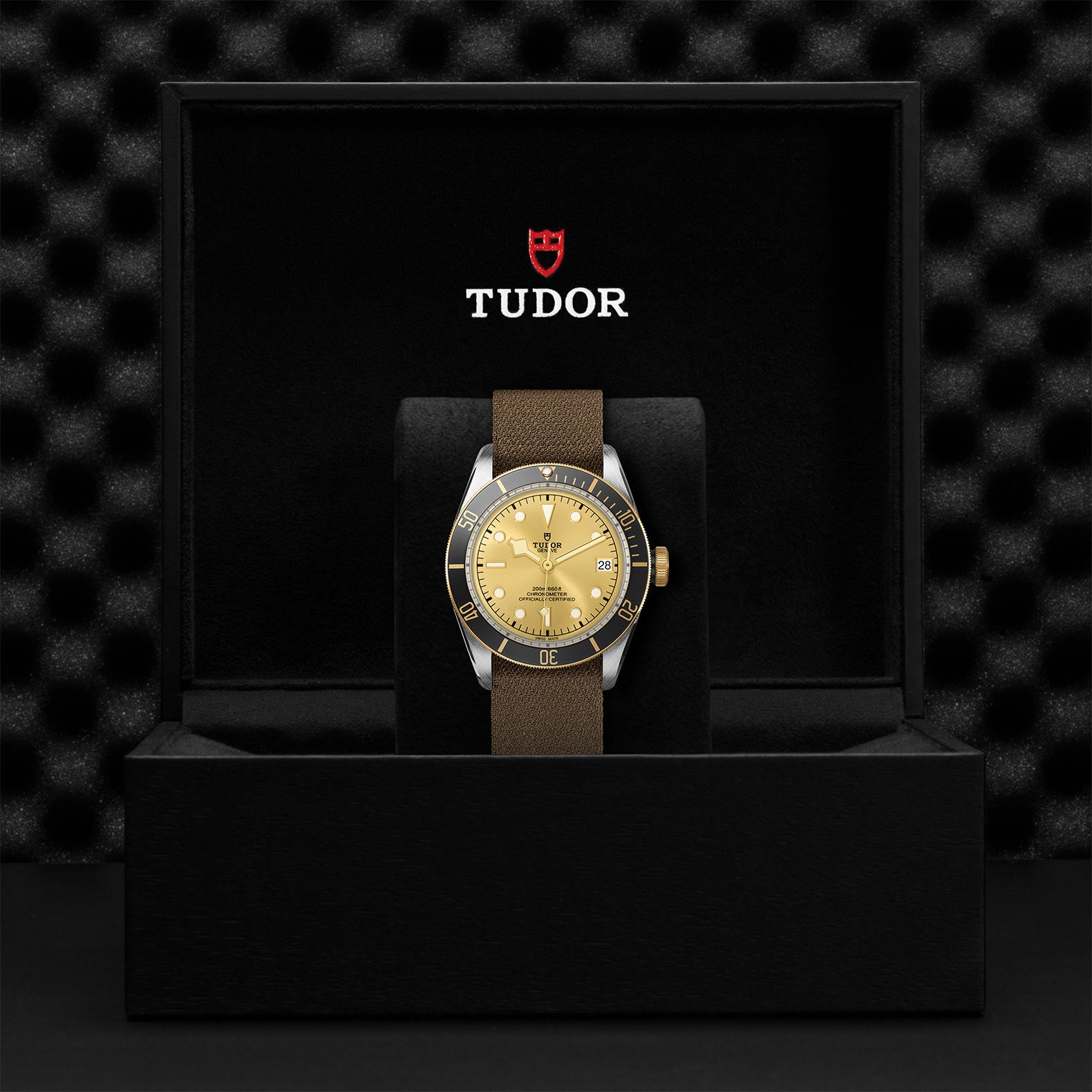 TUDOR BLACK BAY S&G
