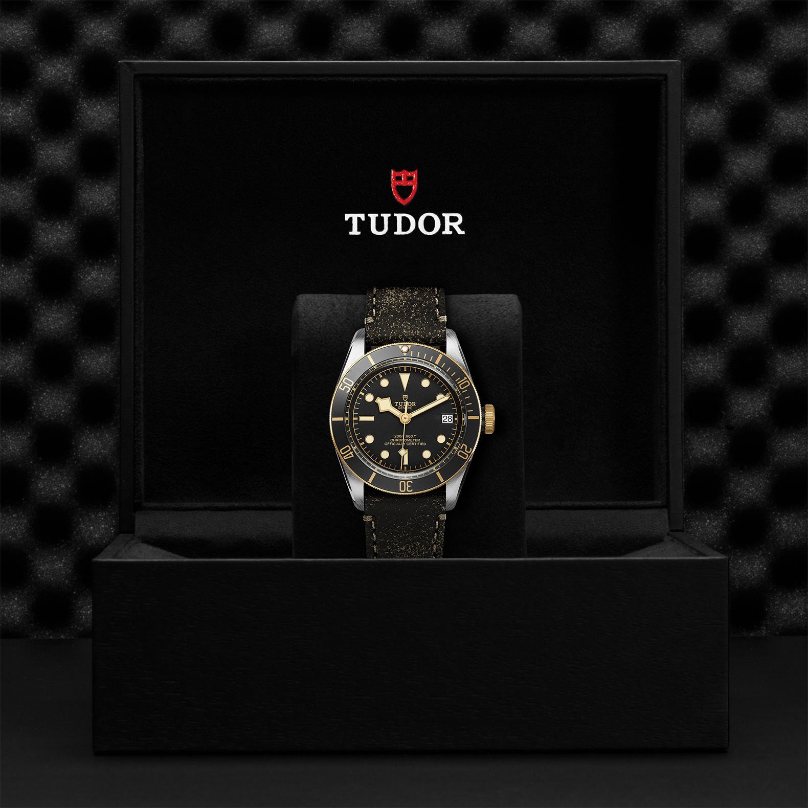 TUDOR BLACK BAY S&G